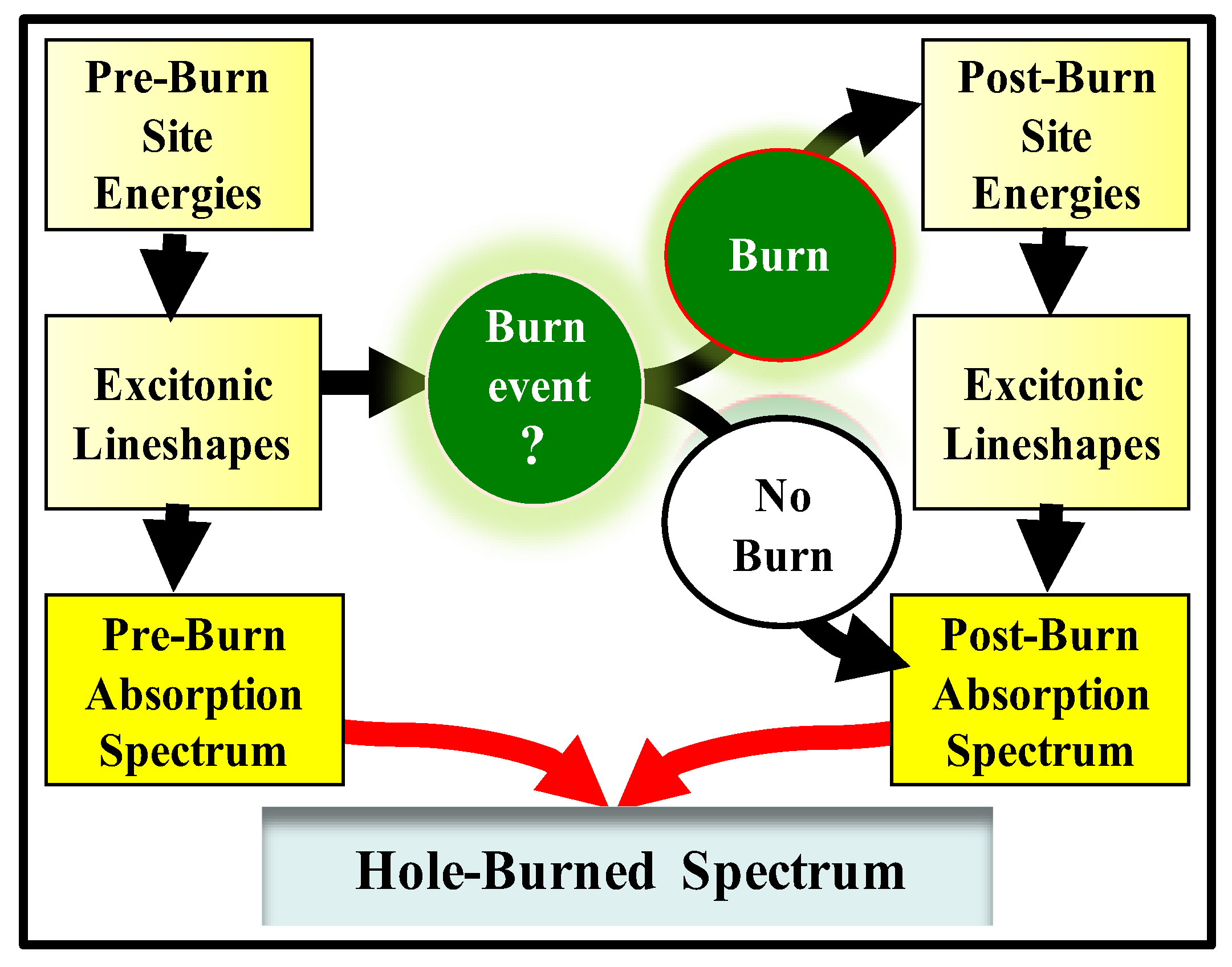 Ijms 25 03850 g004 Ijms 25 03850 g004