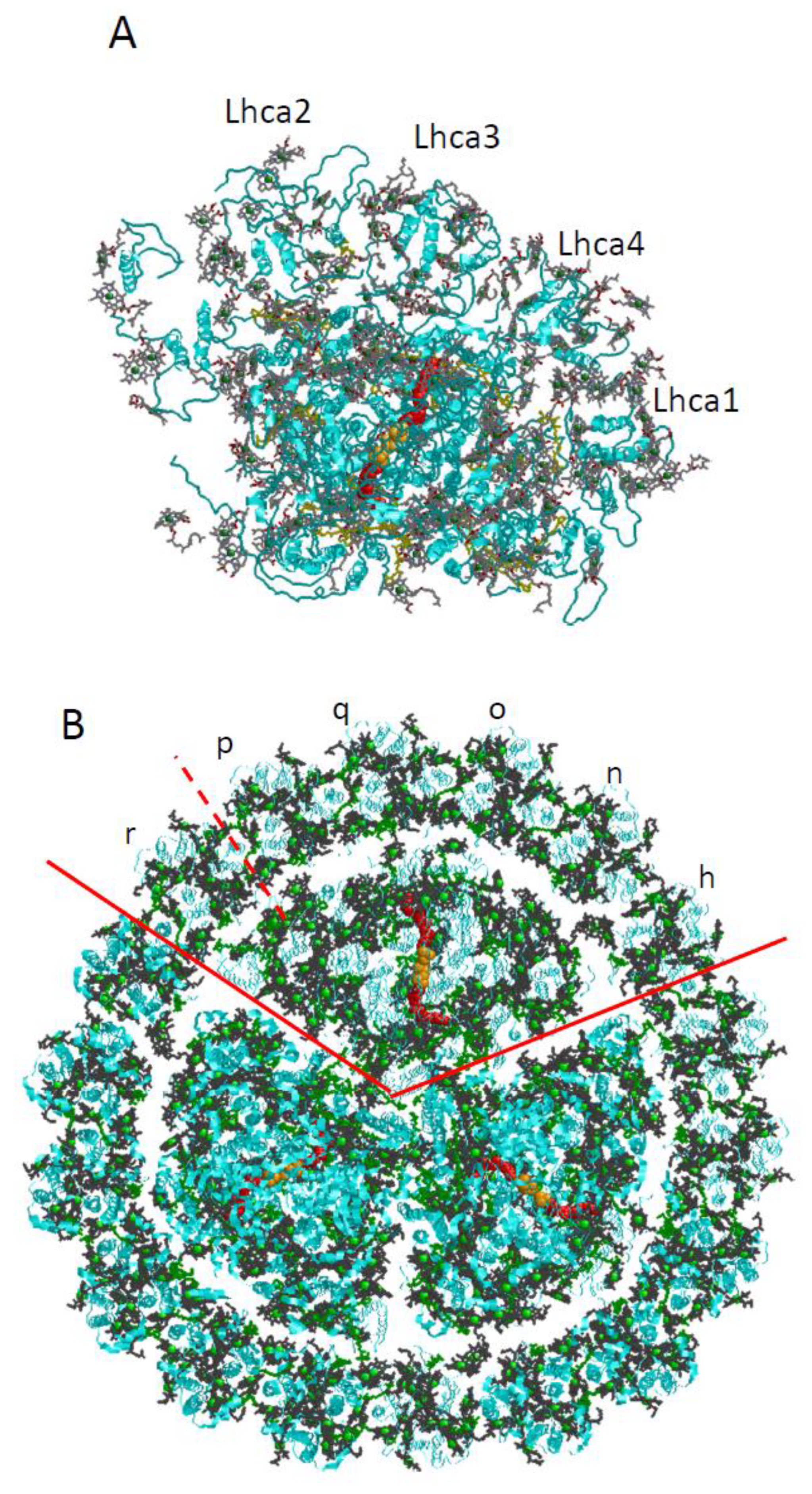 Ijms 25 03850 g006 Ijms 25 03850 g006