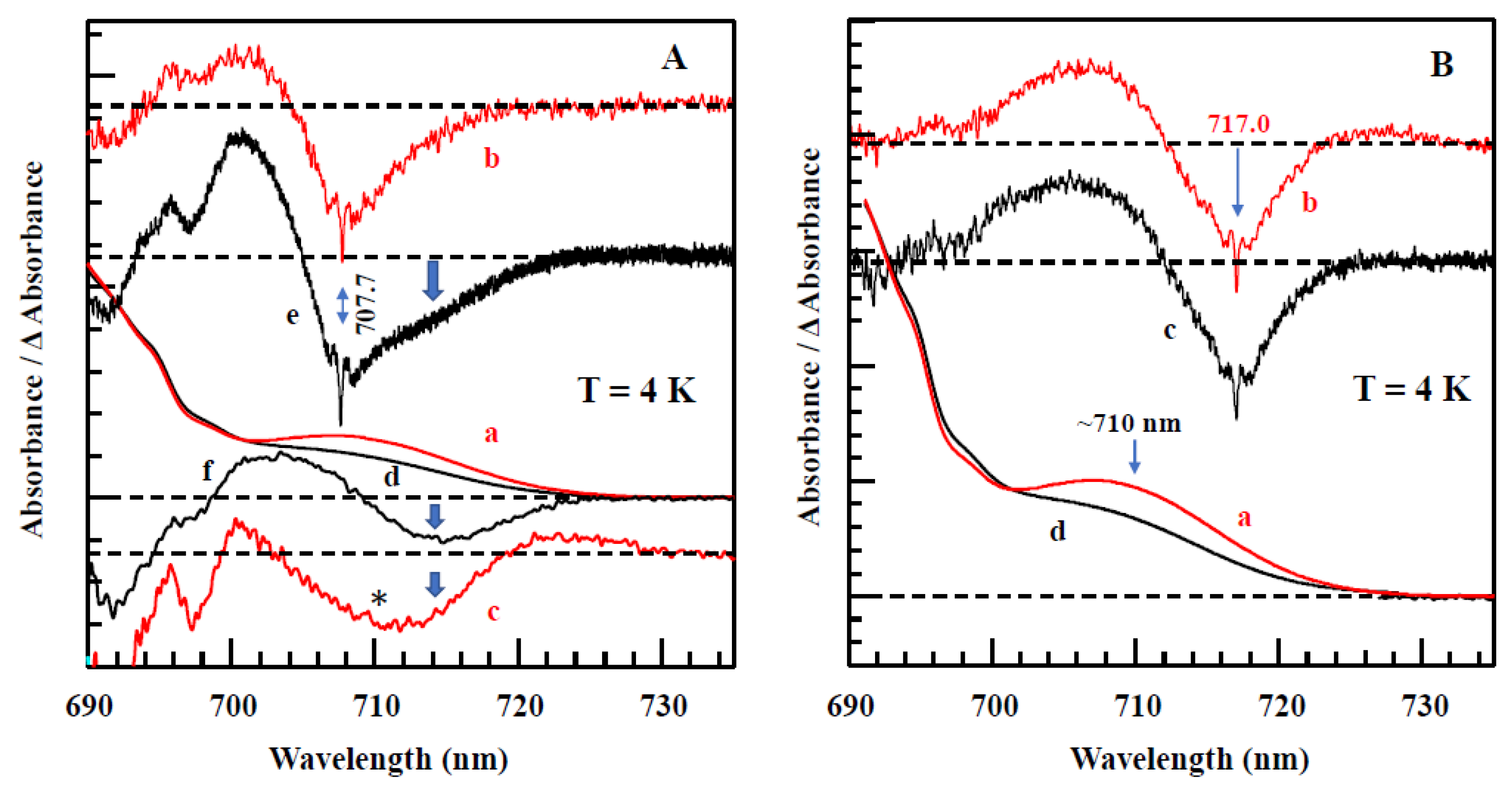 Ijms 25 03850 g010 Ijms 25 03850 g010
