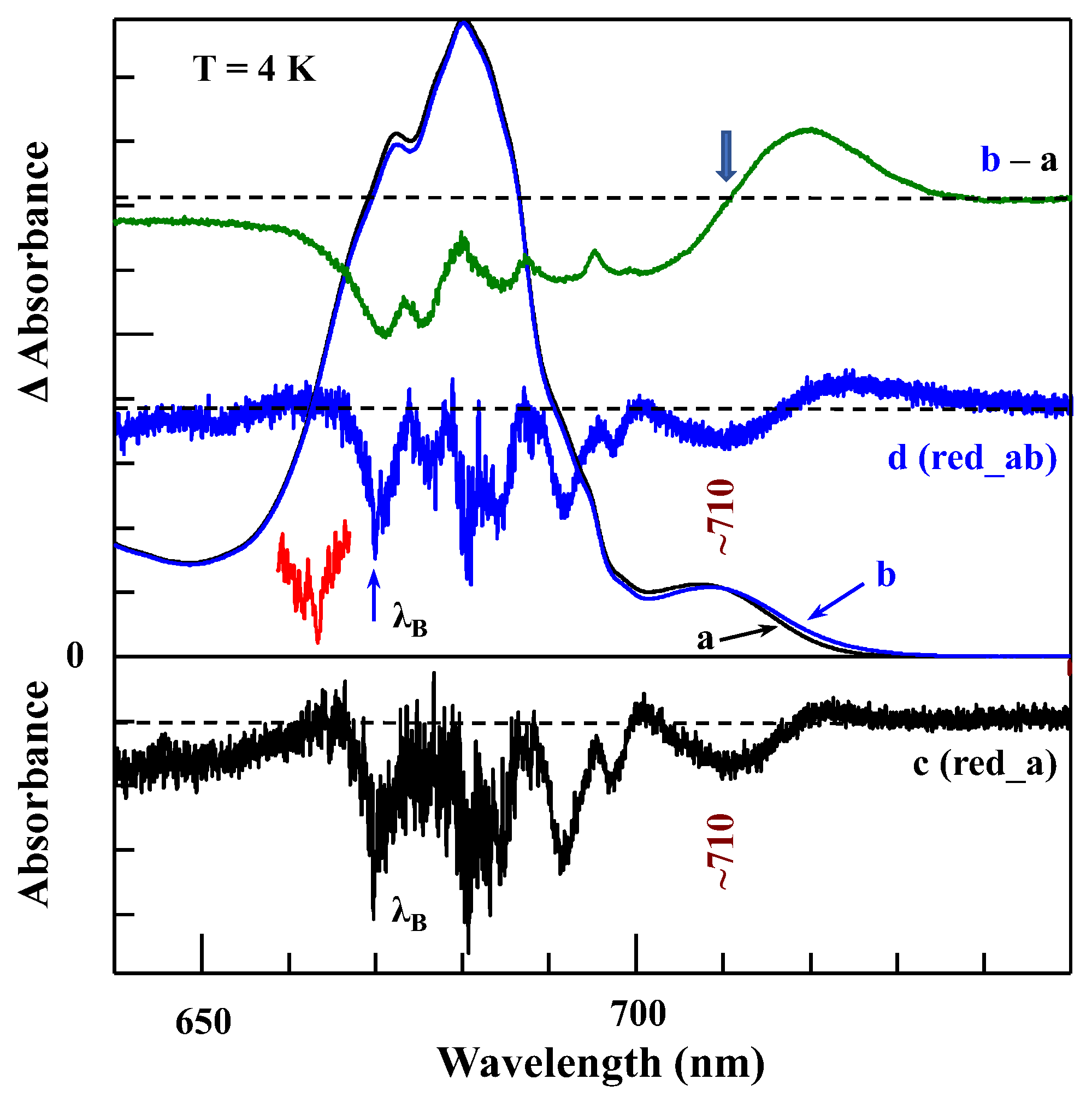 Ijms 25 03850 g011 Ijms 25 03850 g011