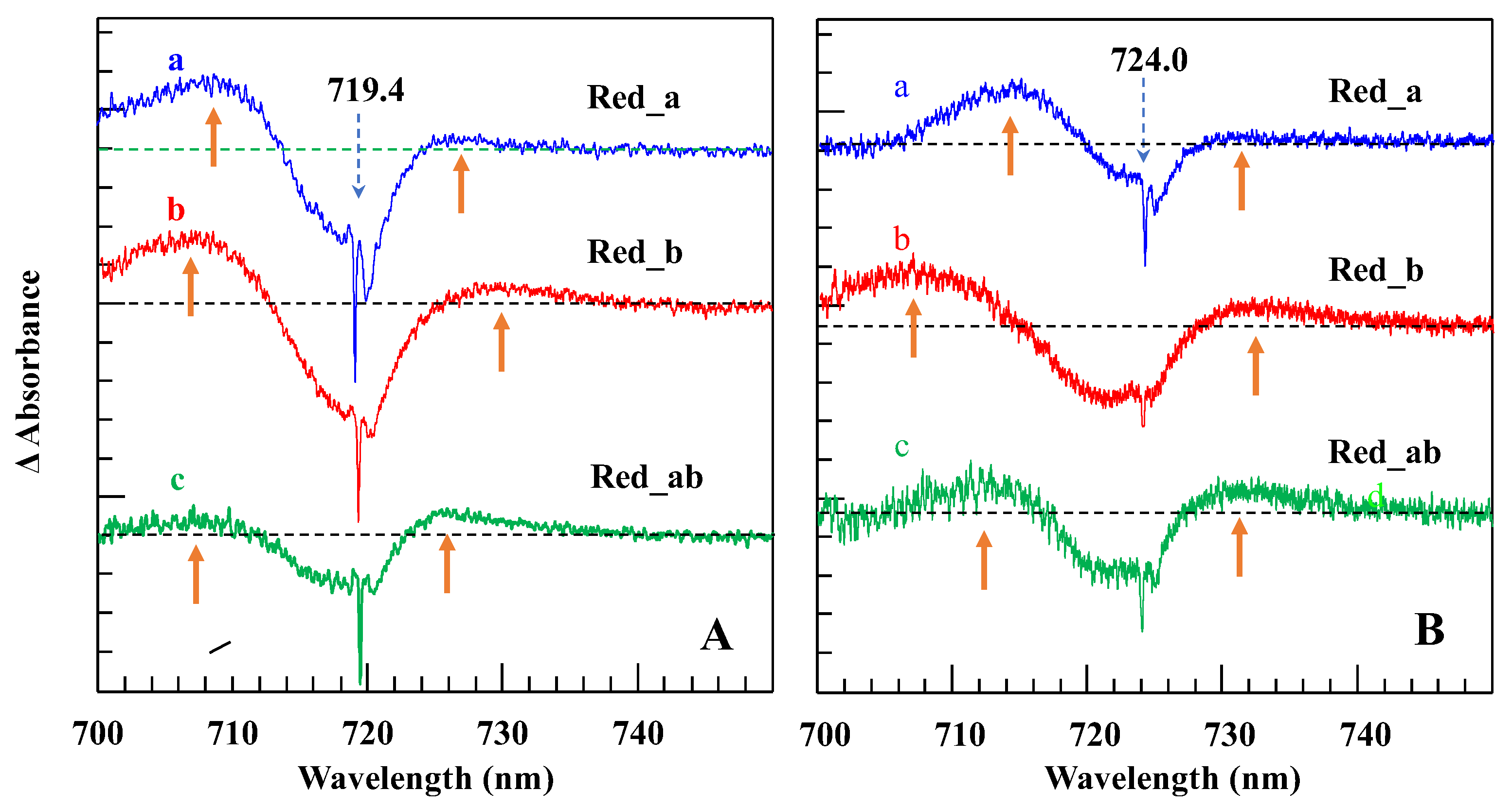 Ijms 25 03850 g012 Ijms 25 03850 g012