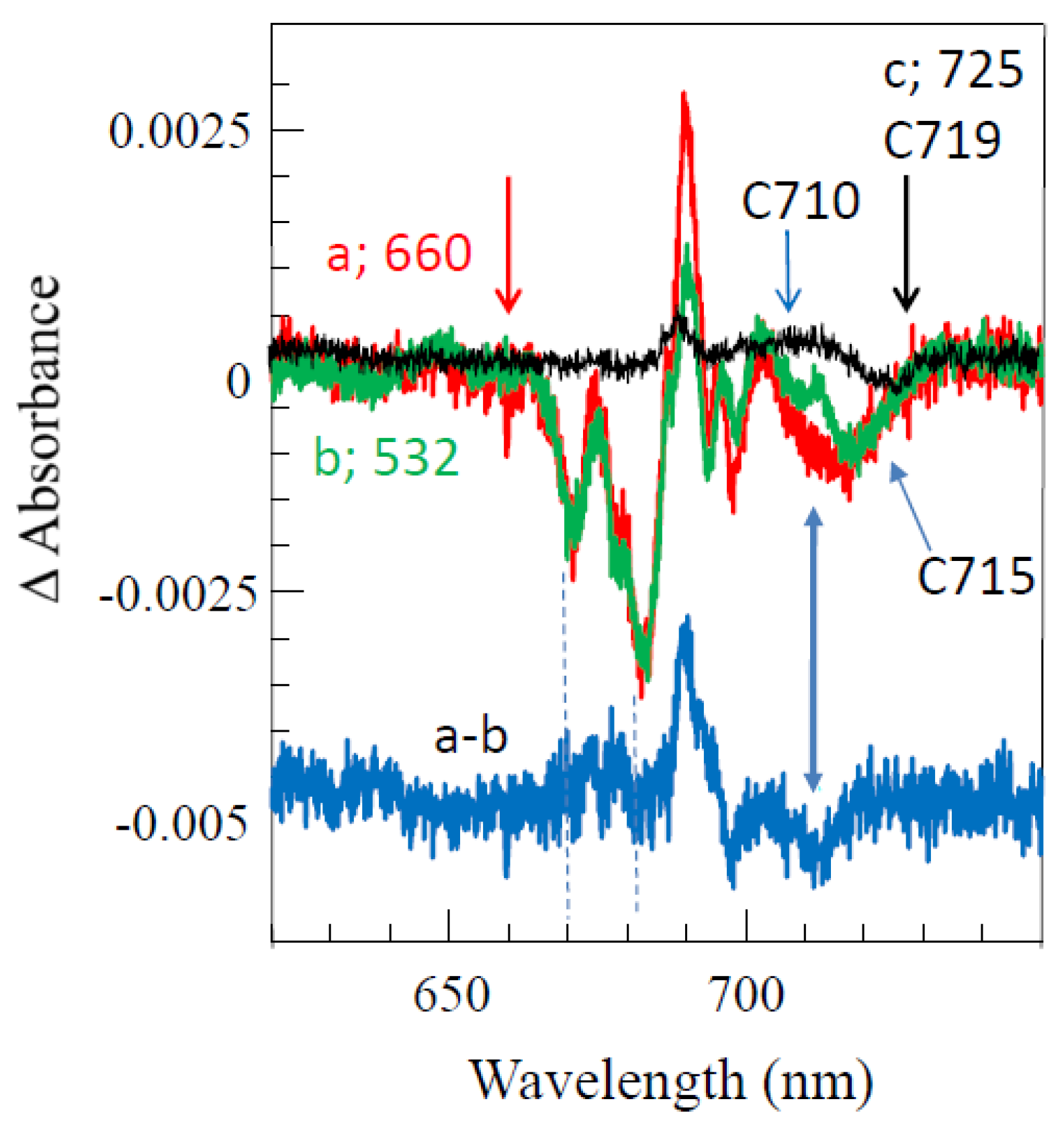 Ijms 25 03850 g013 Ijms 25 03850 g013