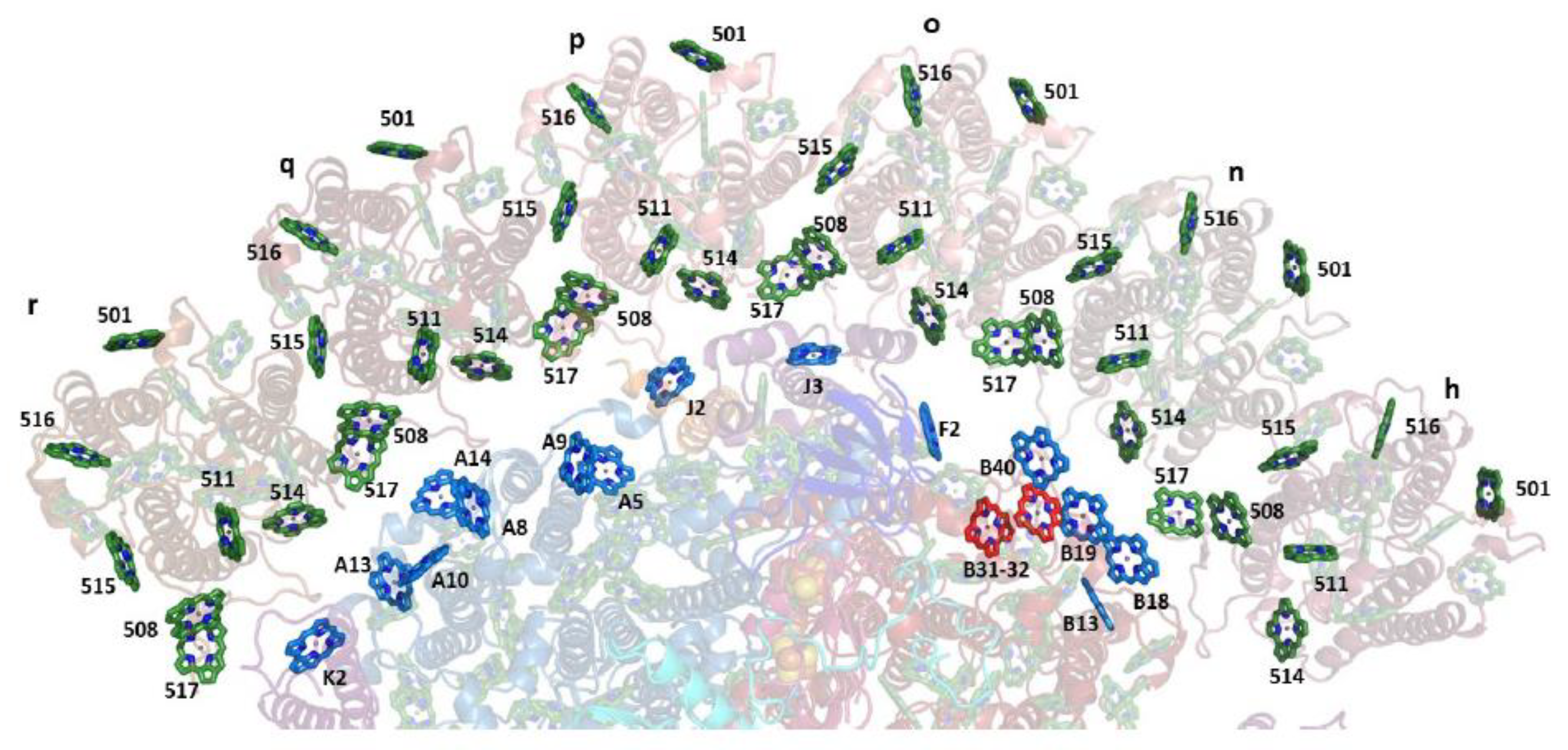 Ijms 25 03850 g016 Ijms 25 03850 g016