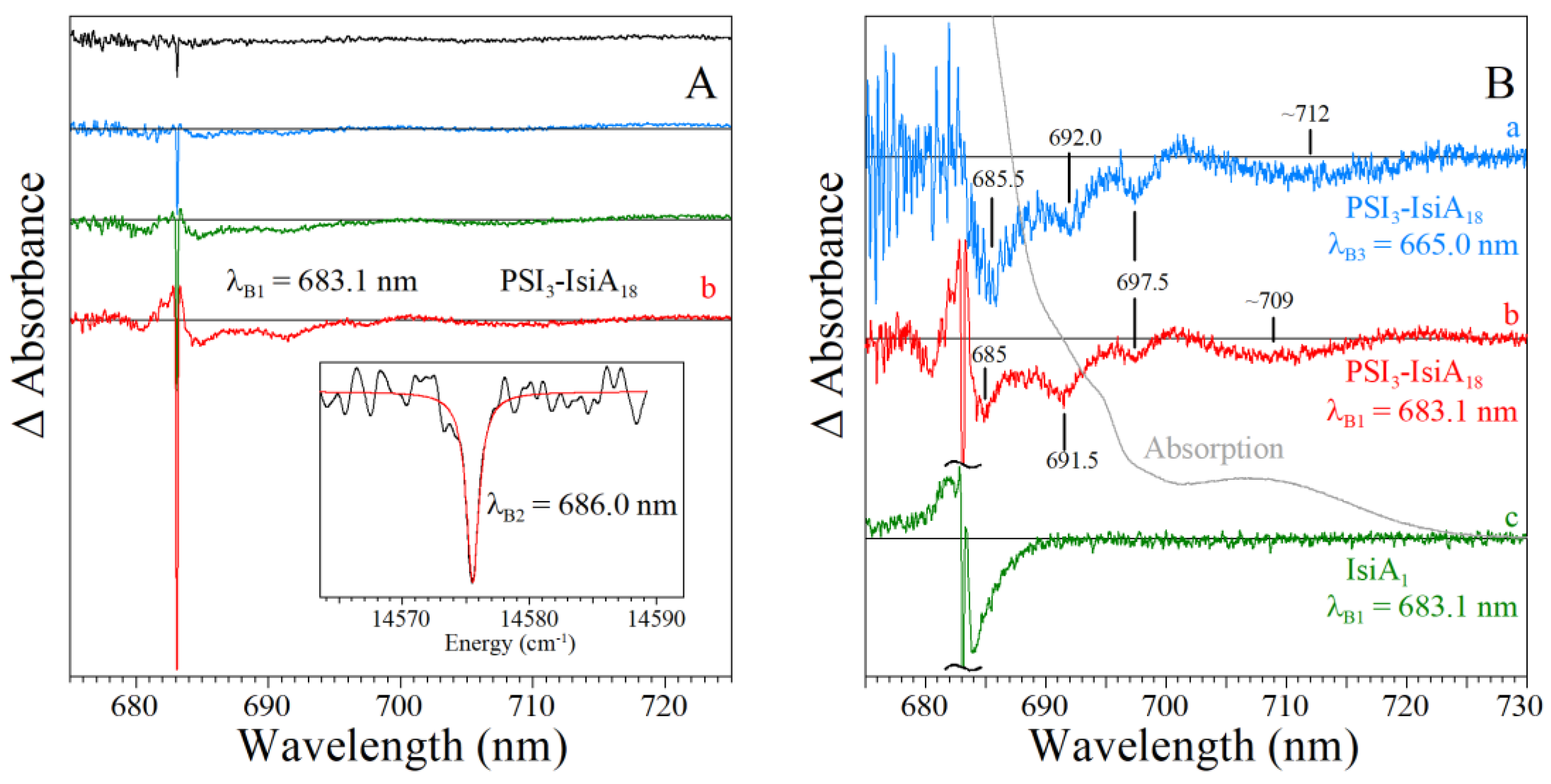 Ijms 25 03850 g018 Ijms 25 03850 g018