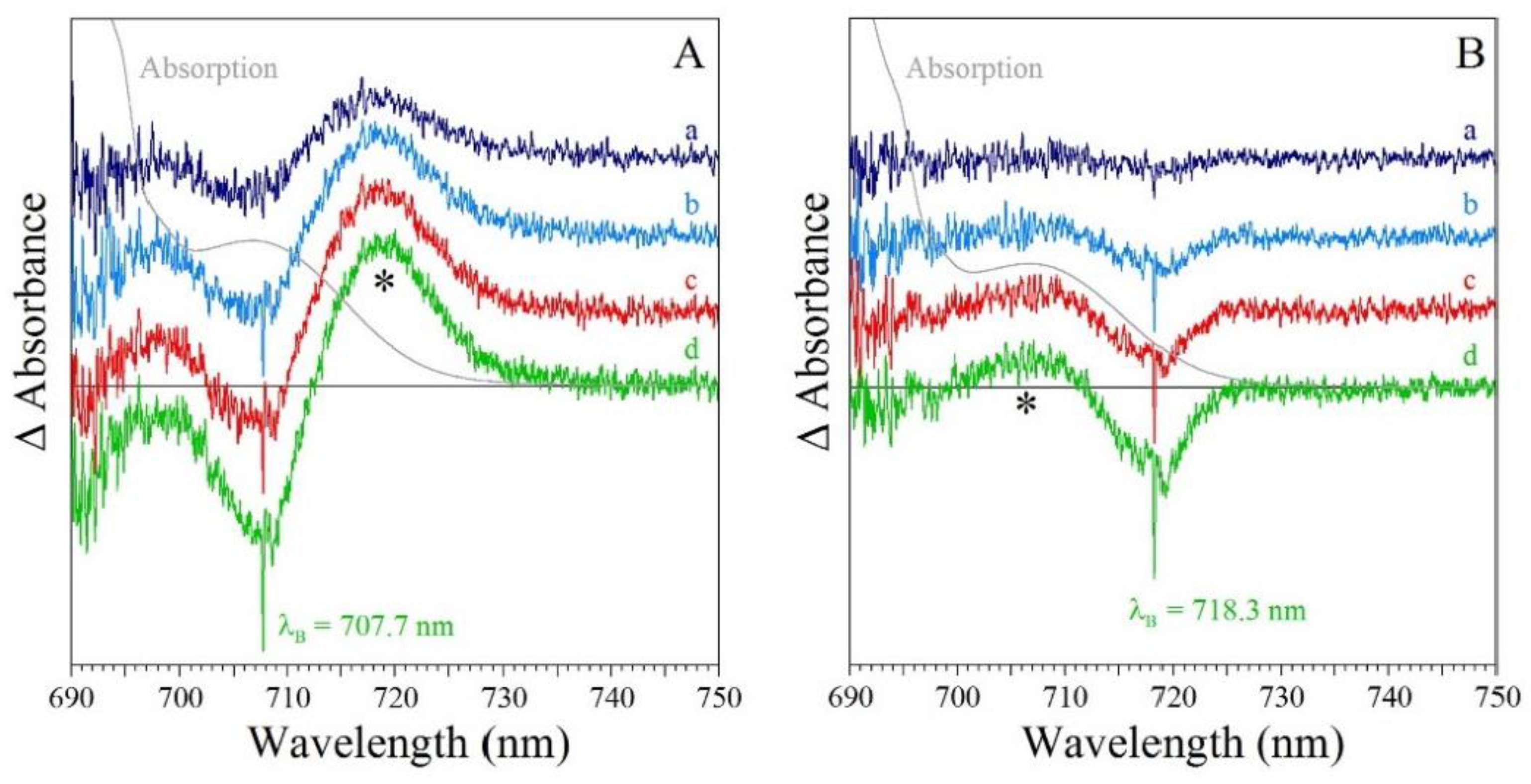 Ijms 25 03850 g019 Ijms 25 03850 g019