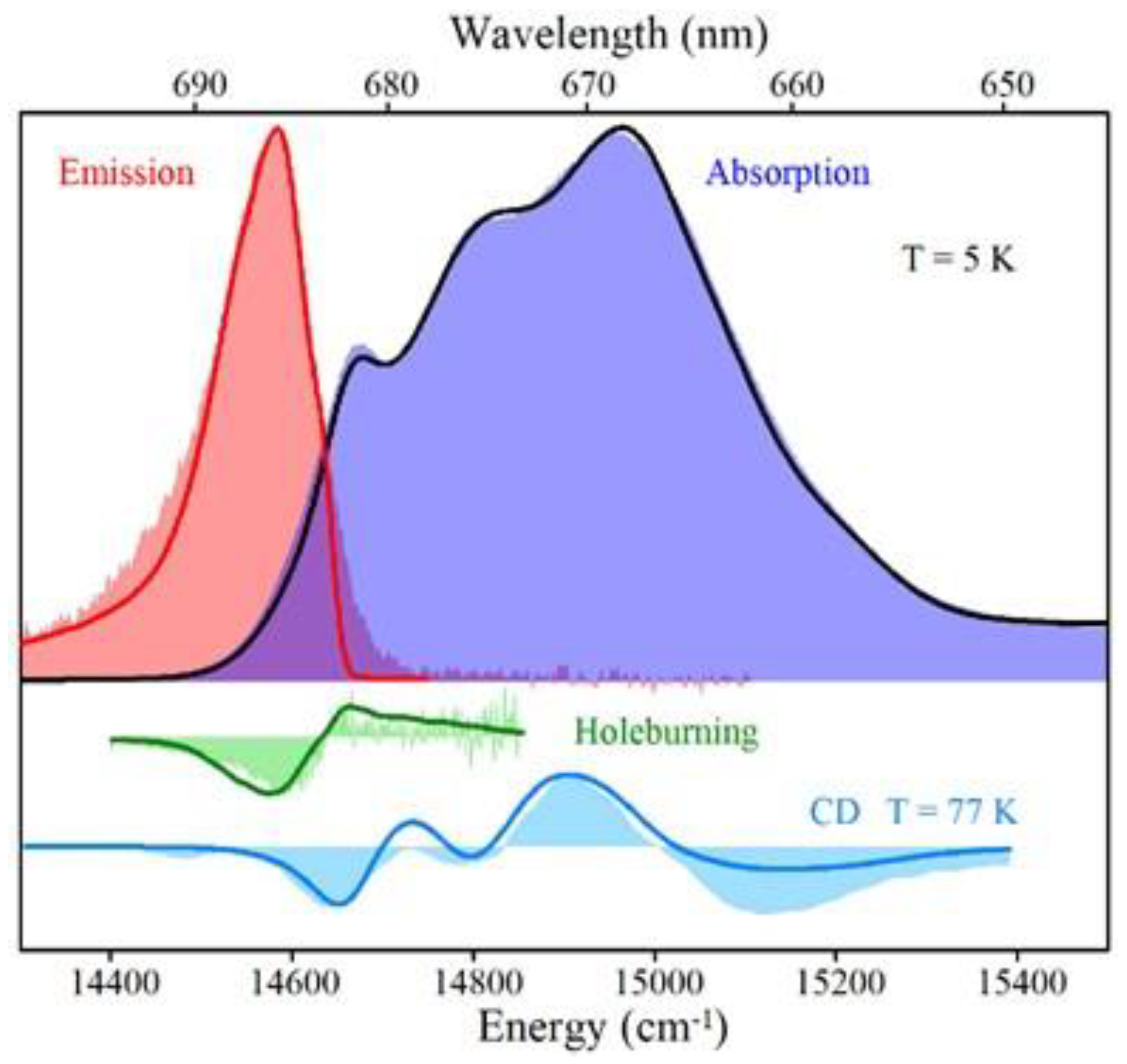 Ijms 25 03850 g021 Ijms 25 03850 g021