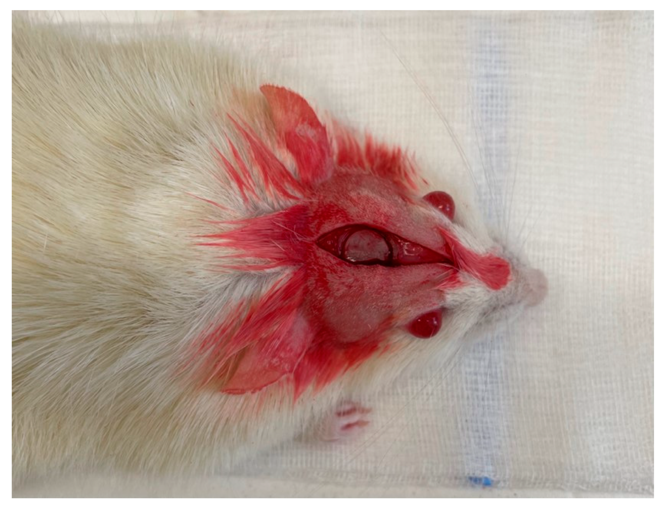 Ijms 25 03882 g006 Ijms 25 03882 g006