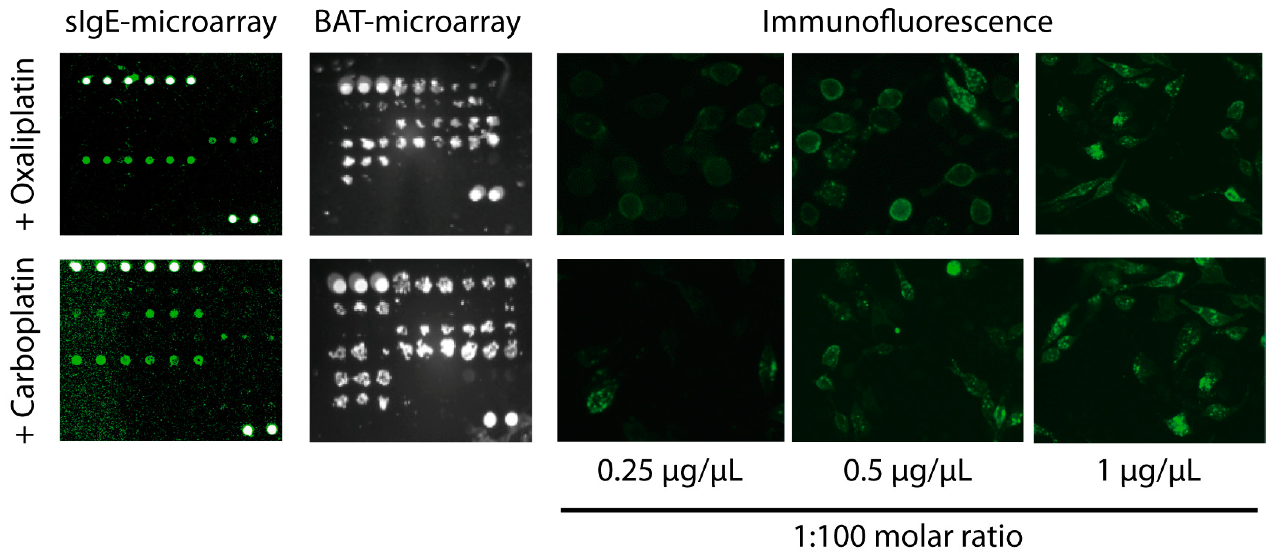 Ijms 25 03890 g003 Ijms 25 03890 g003