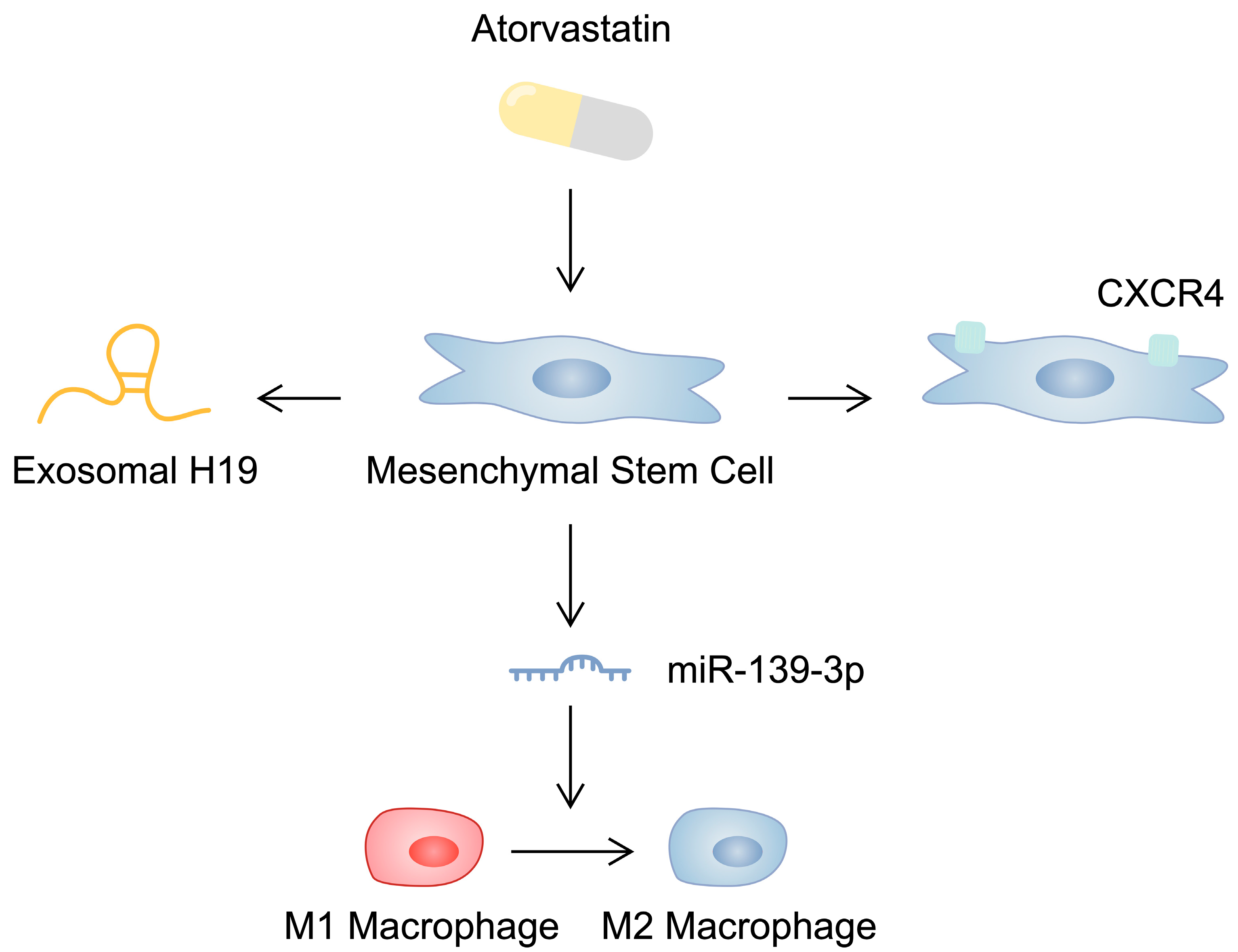 Ijms 25 03901 g002 Ijms 25 03901 g002