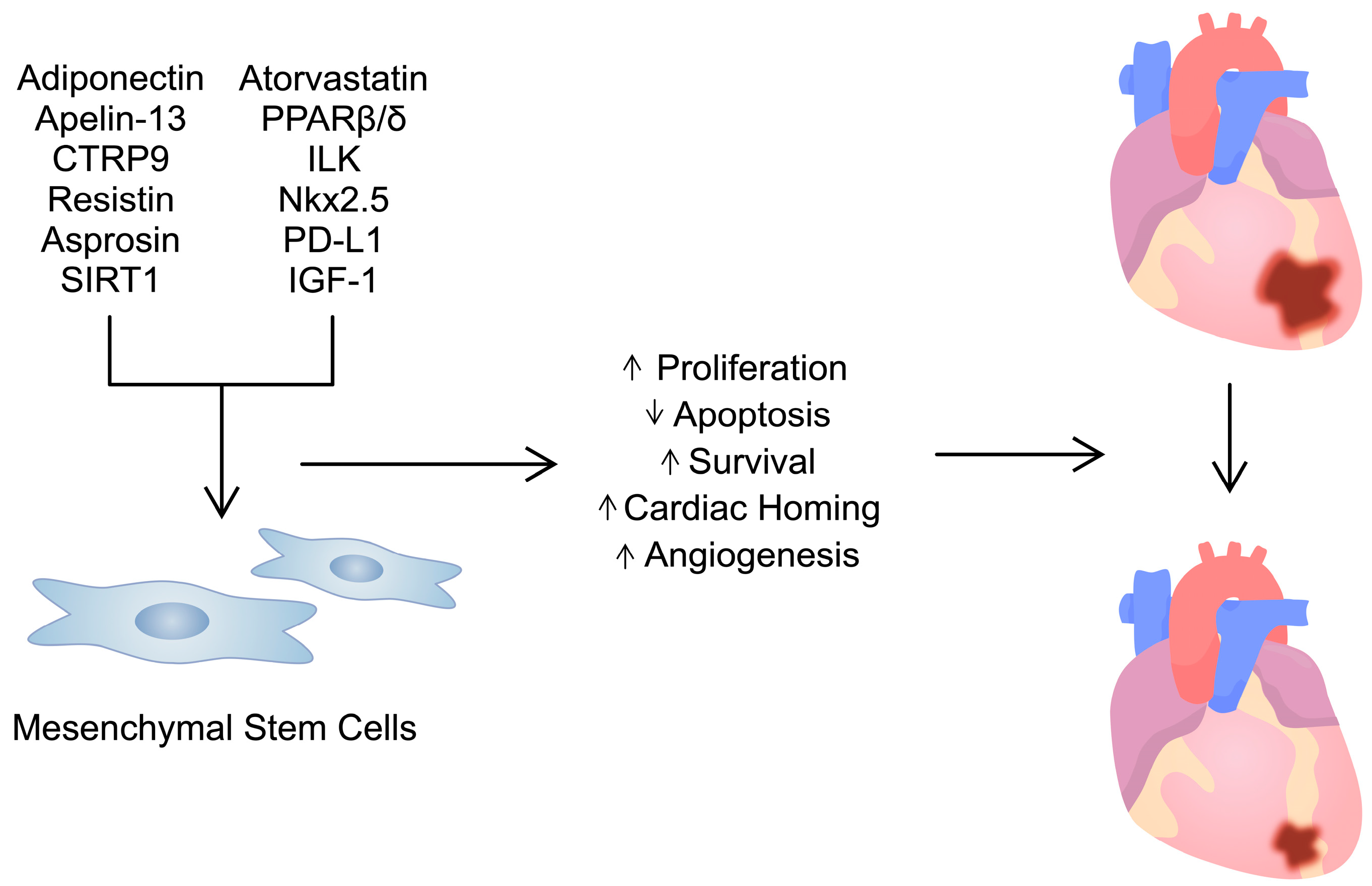 Ijms 25 03901 g003 Ijms 25 03901 g003