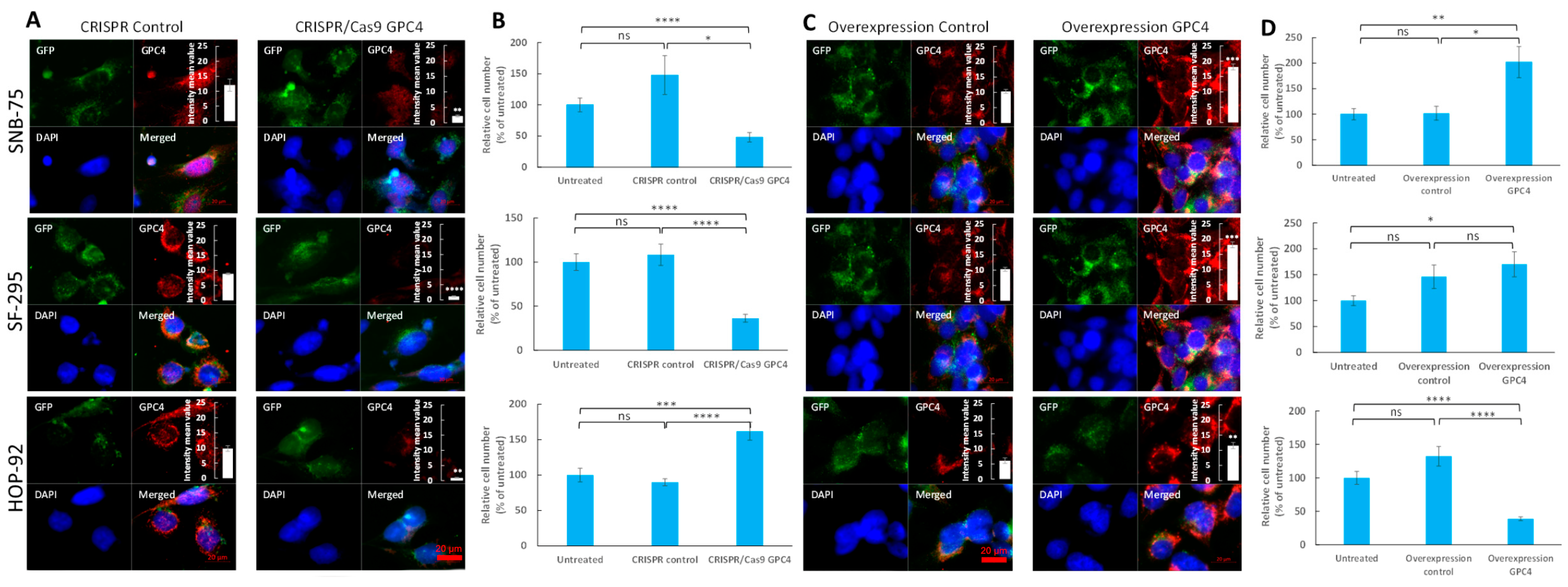 Ijms 25 03945 g003 Ijms 25 03945 g003