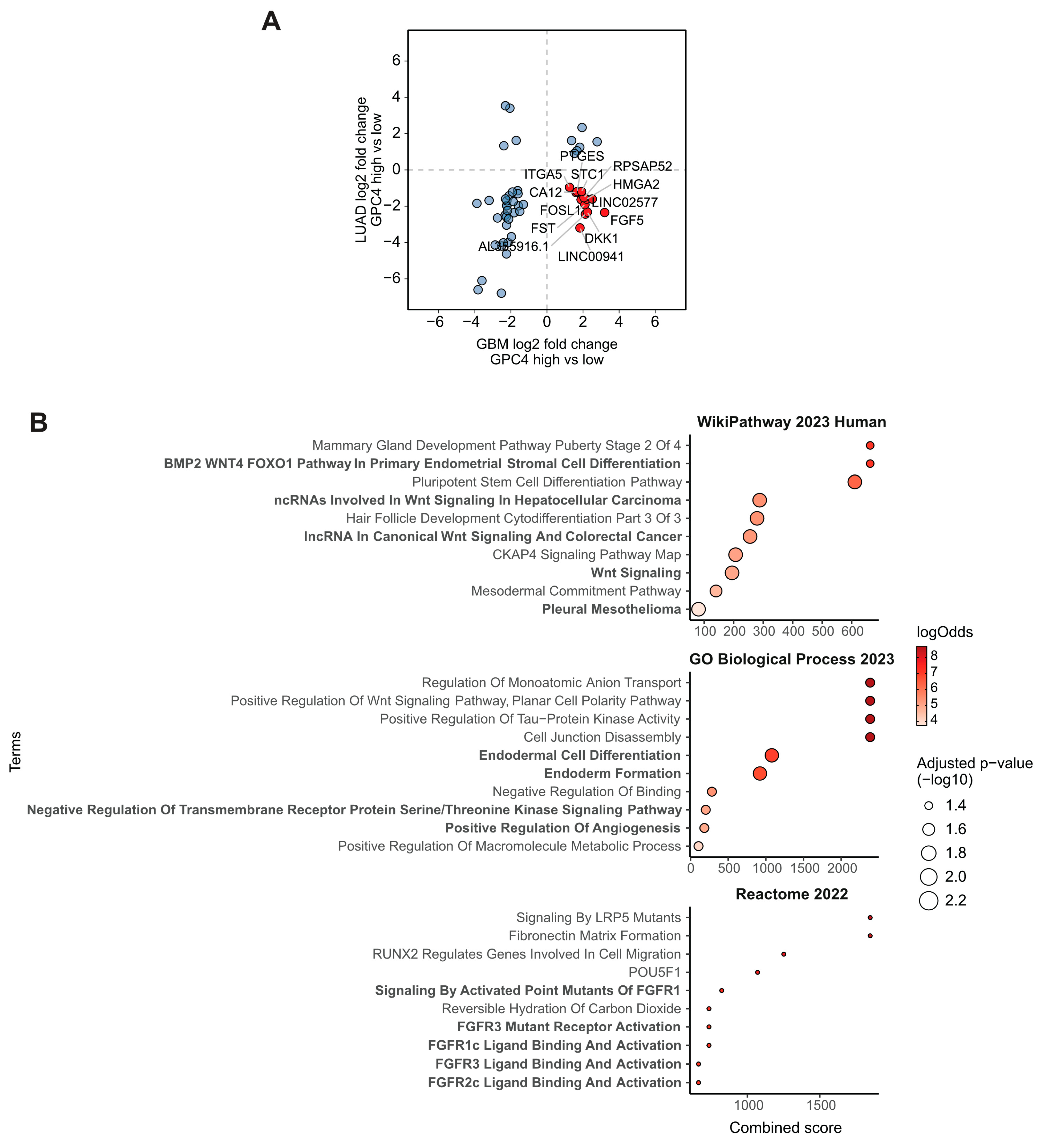 Ijms 25 03945 g006 Ijms 25 03945 g006