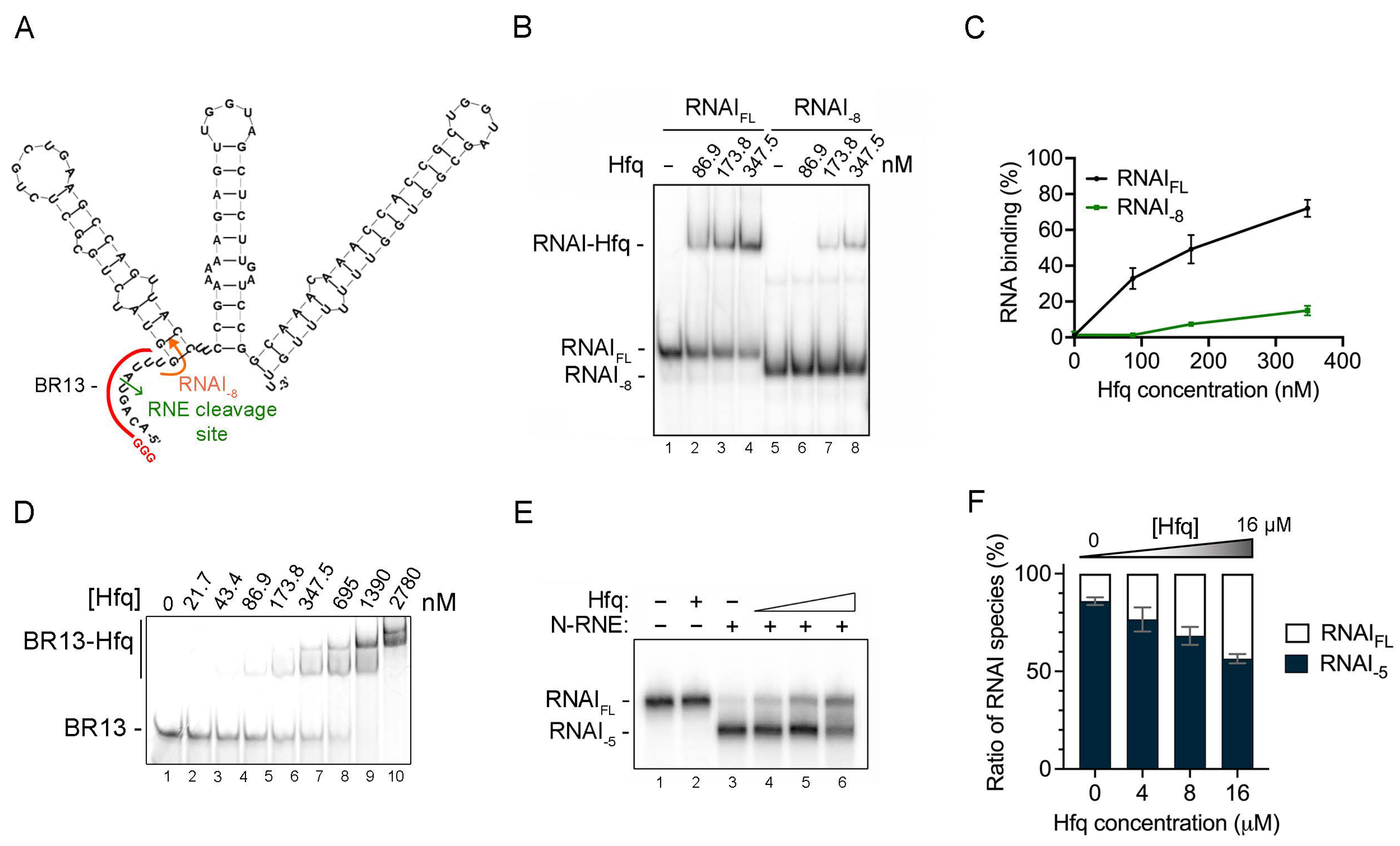 Ijms 25 03955 g002 Ijms 25 03955 g002