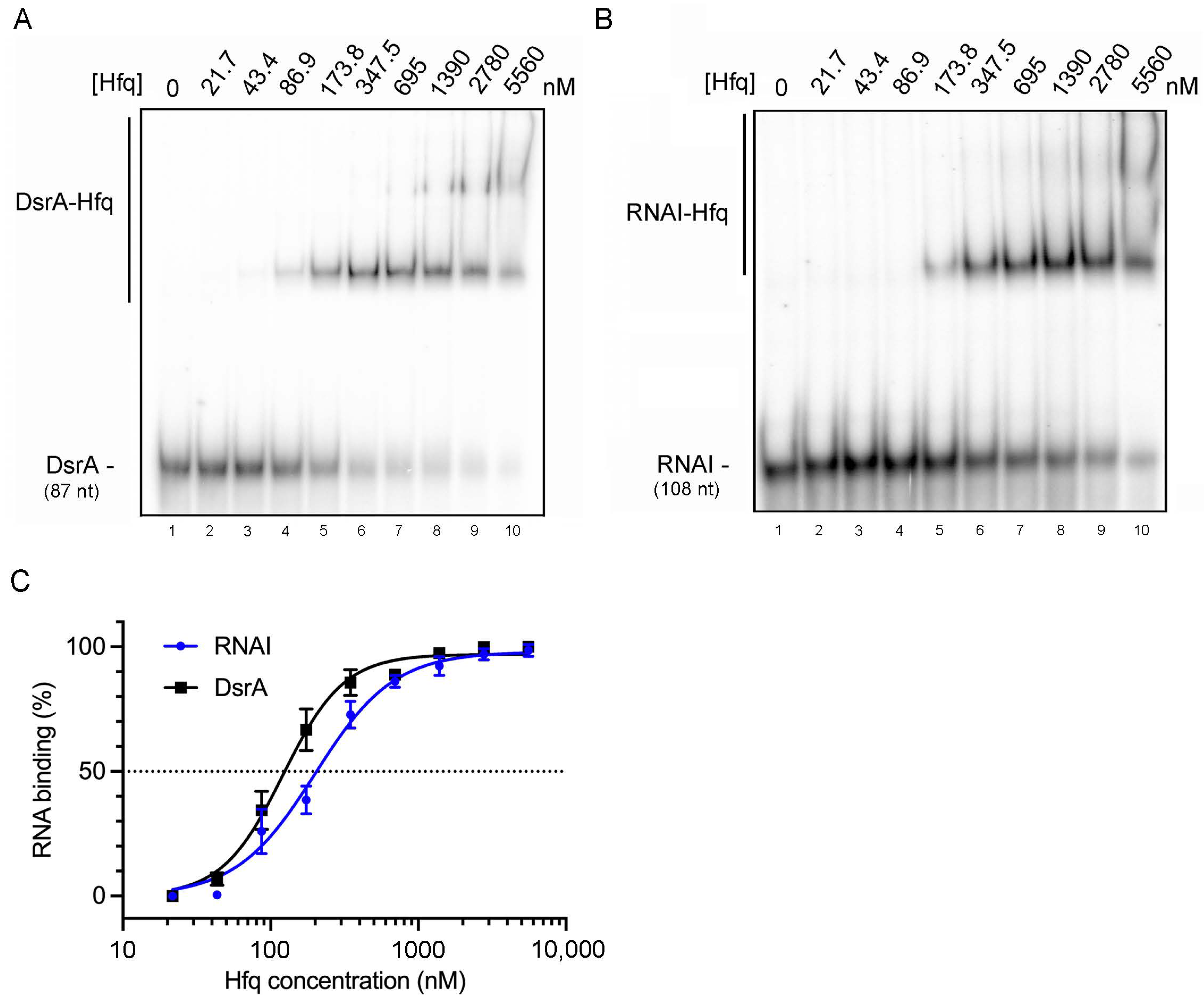 Ijms 25 03955 g003 Ijms 25 03955 g003