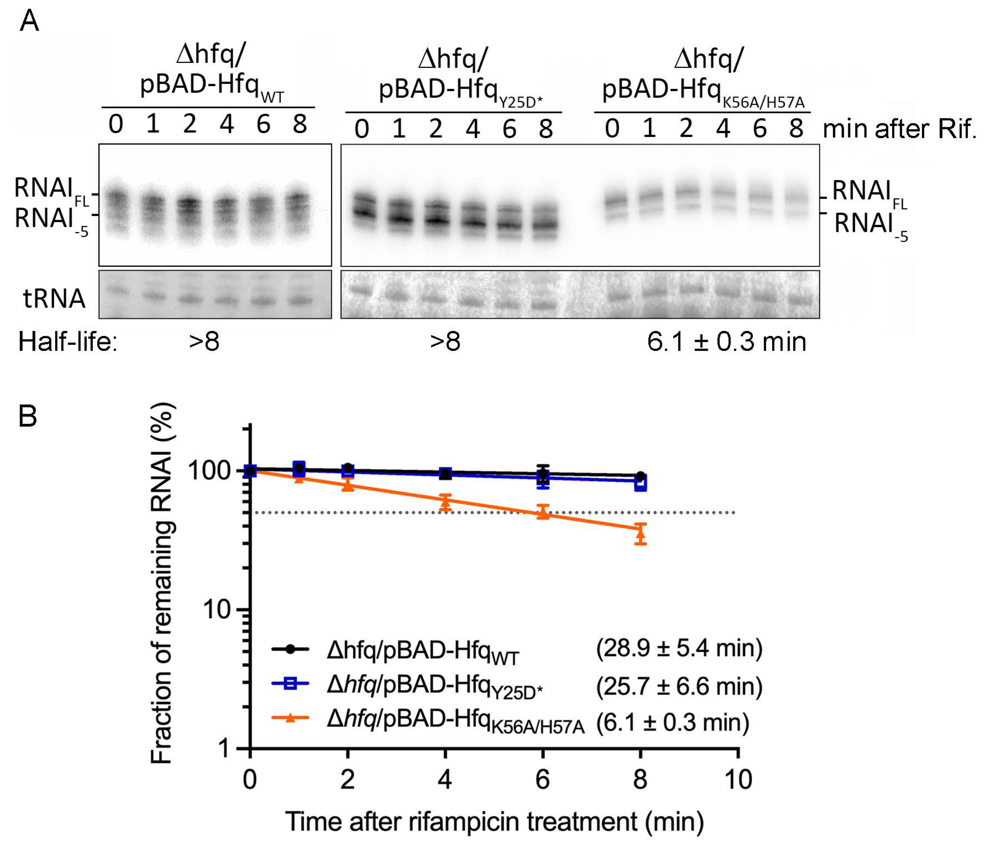 Ijms 25 03955 g005 Ijms 25 03955 g005