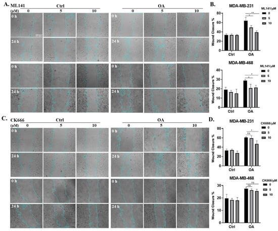 IJMS | Free Full-Text | Oleate Promotes Triple-Negative Breast Cancer ...