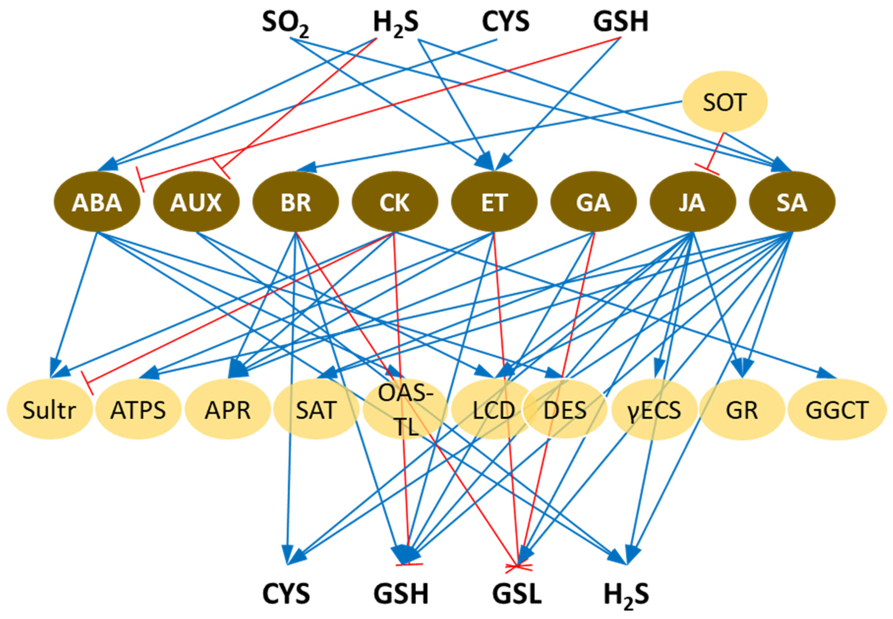 Ijms 25 03978 g002 Ijms 25 03978 g002