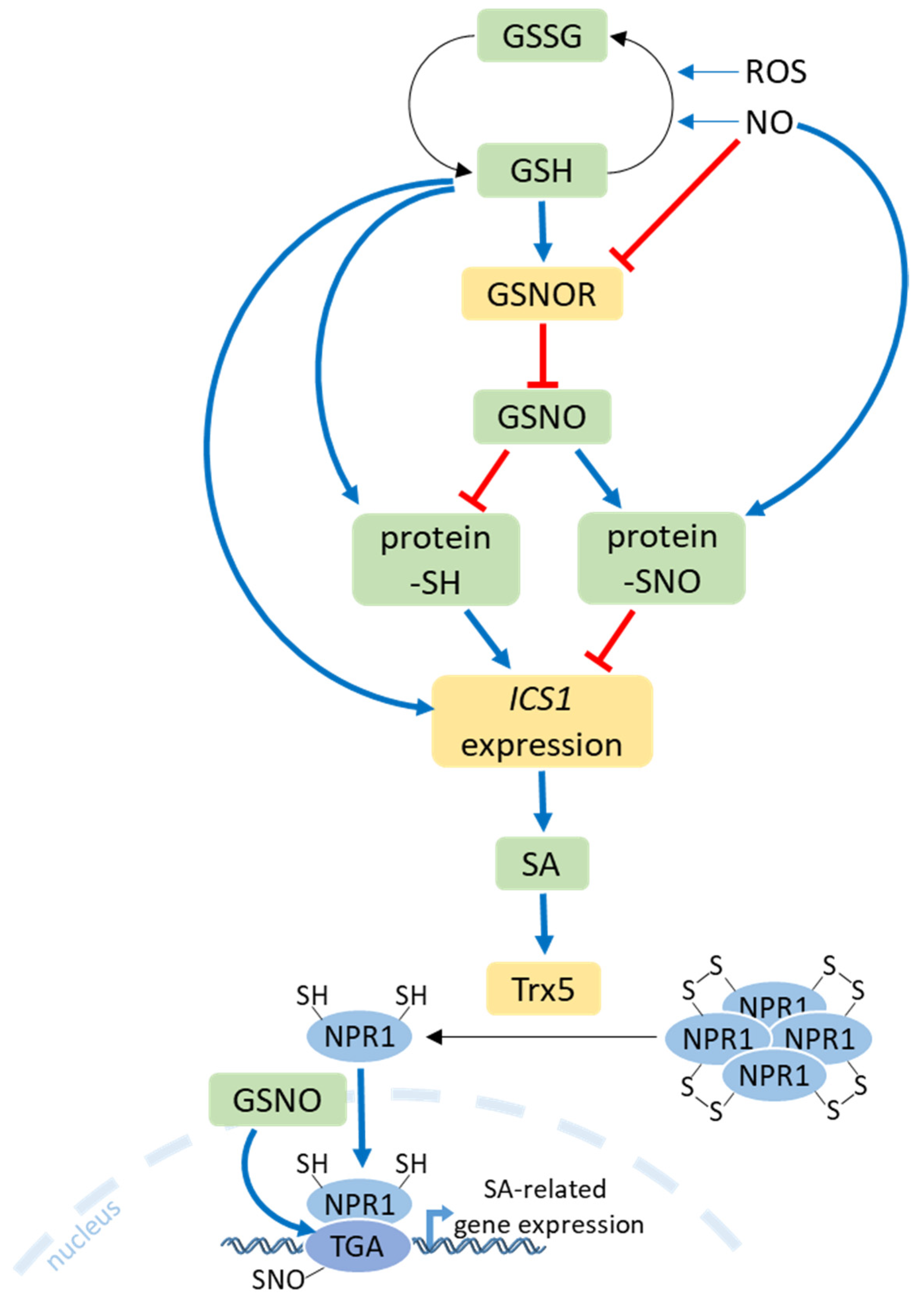 Ijms 25 03978 g006 Ijms 25 03978 g006