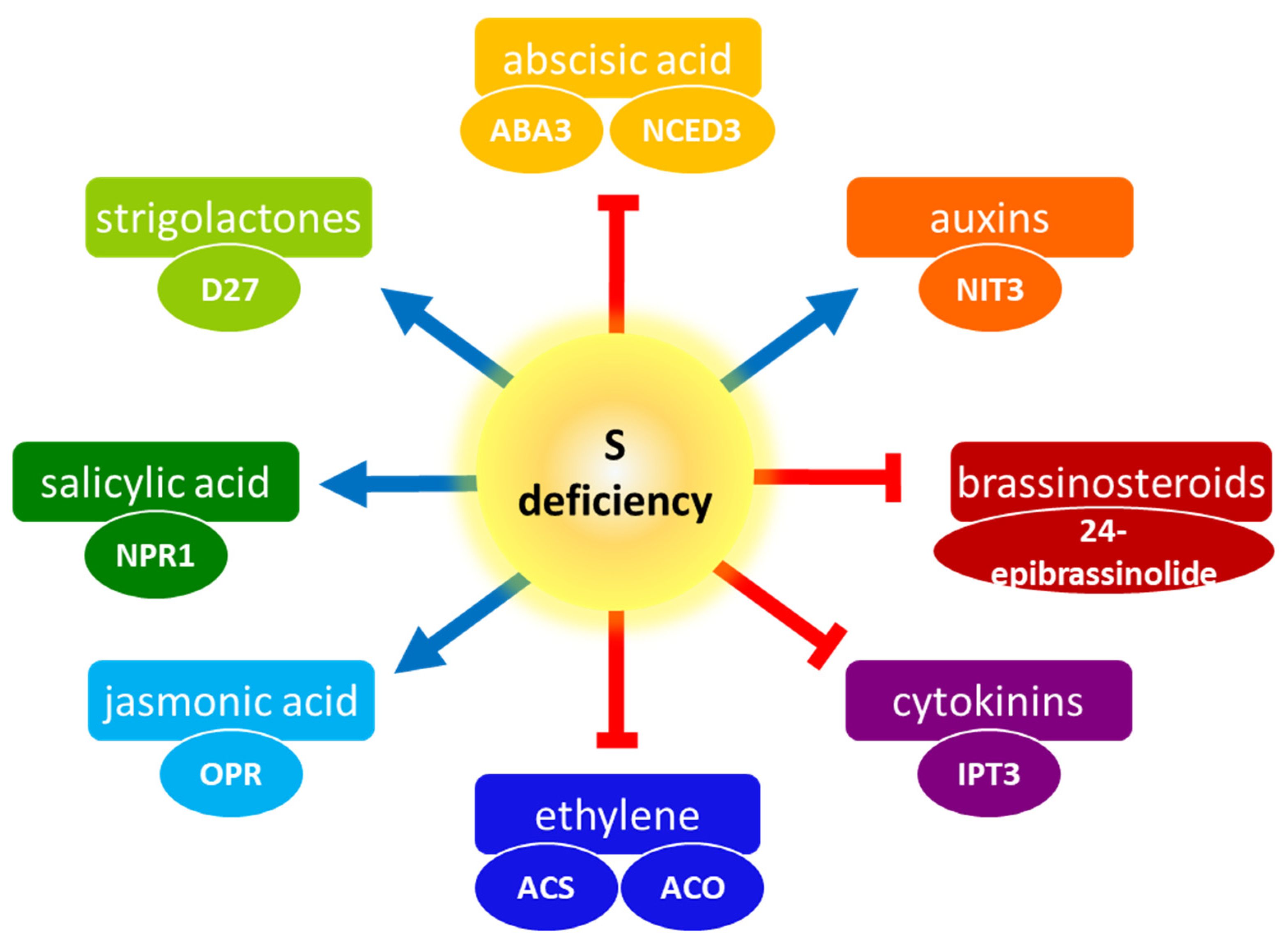Ijms 25 03978 g007 Ijms 25 03978 g007