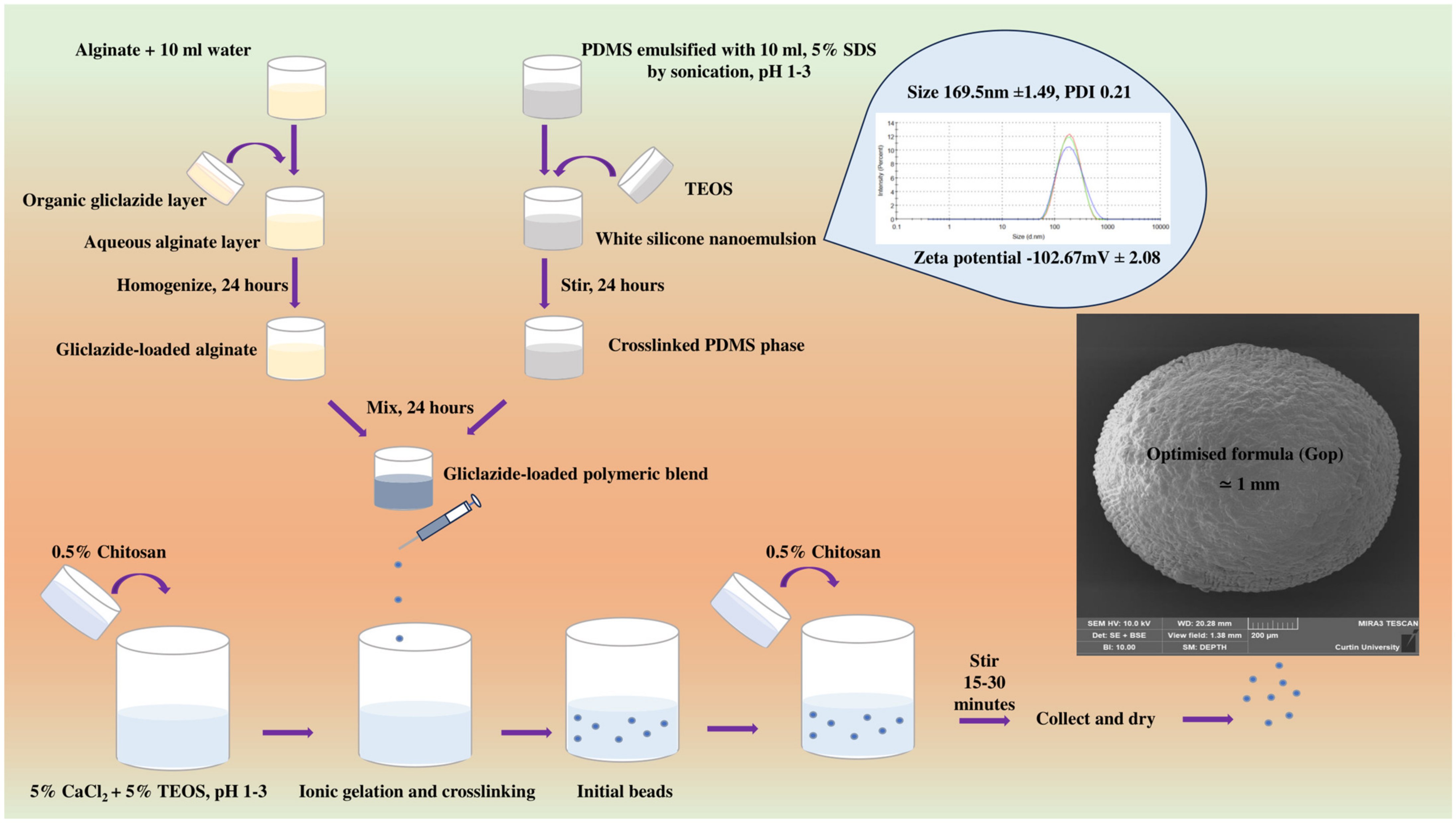 Ijms 25 03991 g009 Ijms 25 03991 g009