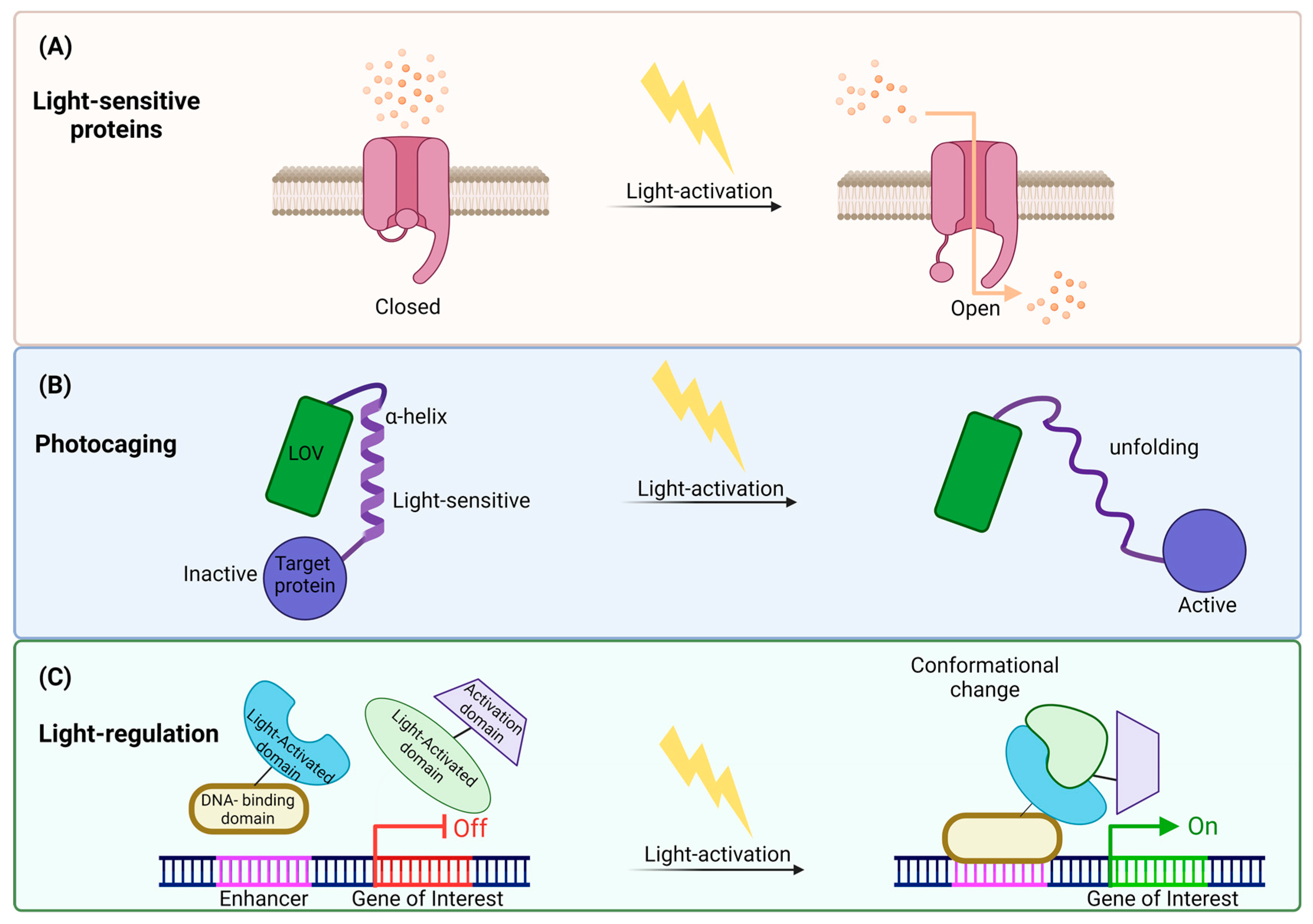Ijms 25 04001 g003 Ijms 25 04001 g003