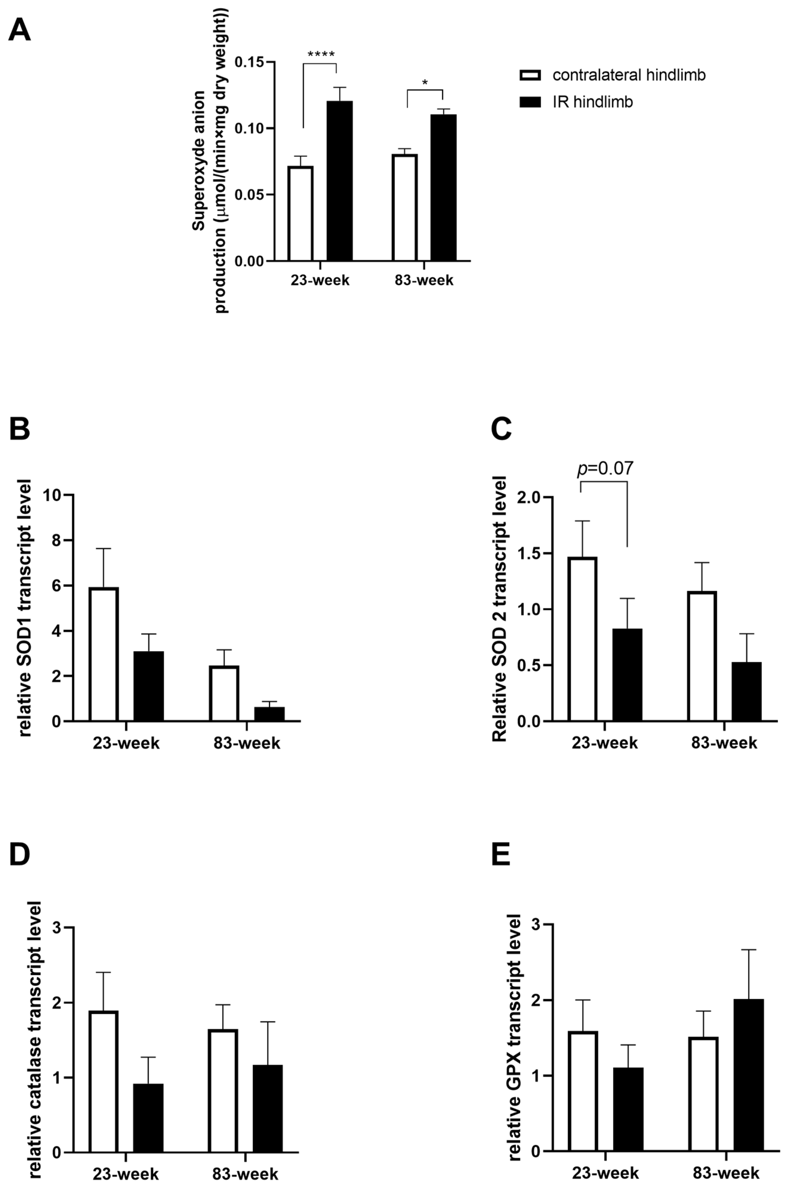 Ijms 25 04025 g004 Ijms 25 04025 g004