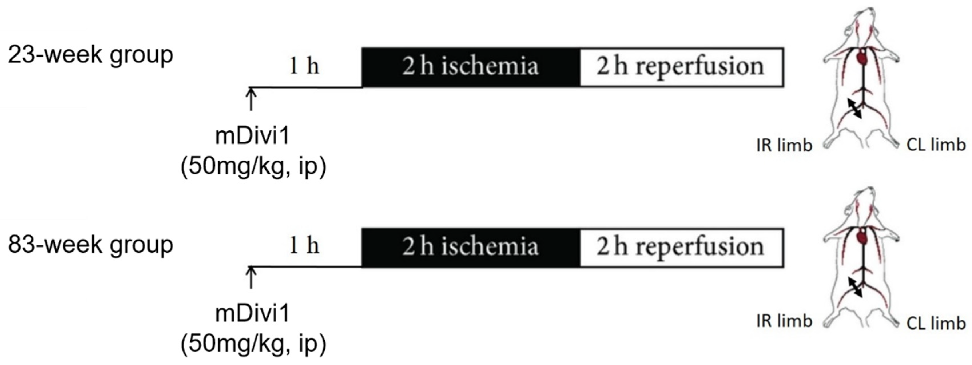 Ijms 25 04025 g006 Ijms 25 04025 g006