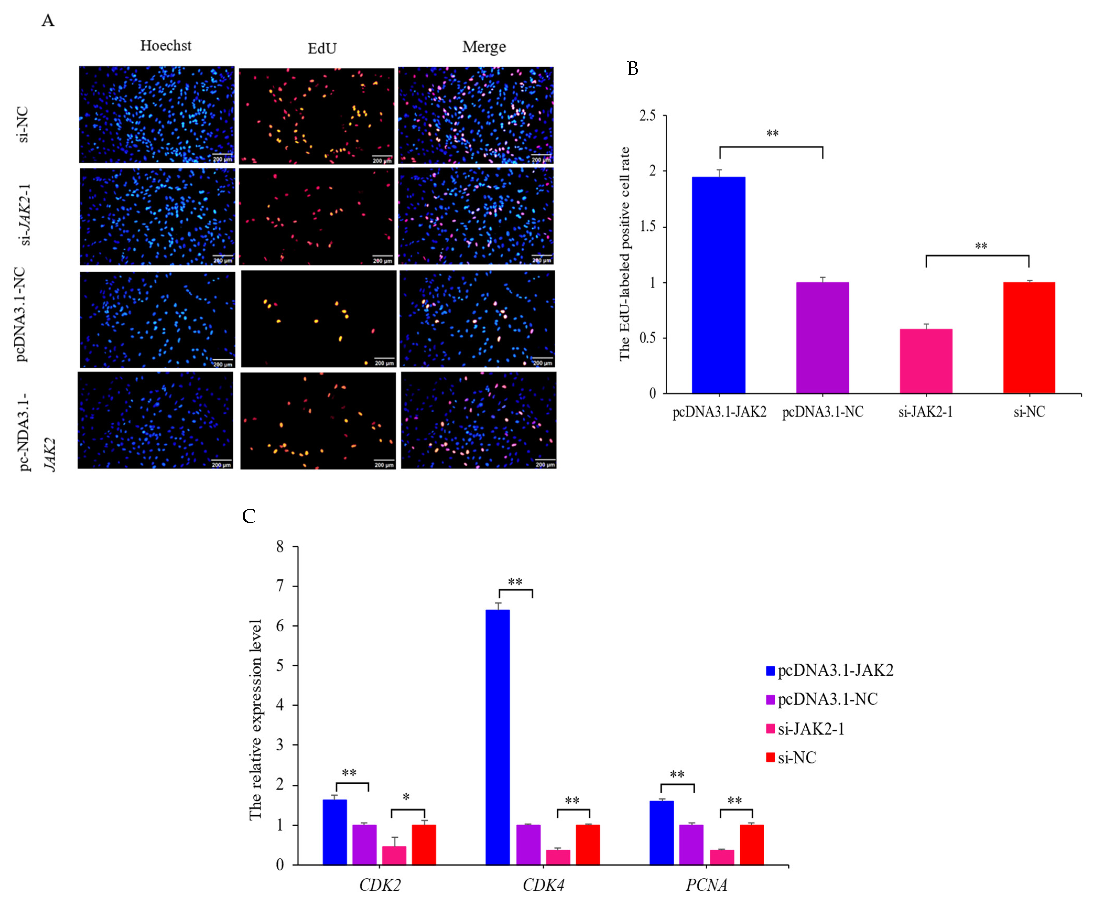 Ijms 25 04027 g007 Ijms 25 04027 g007