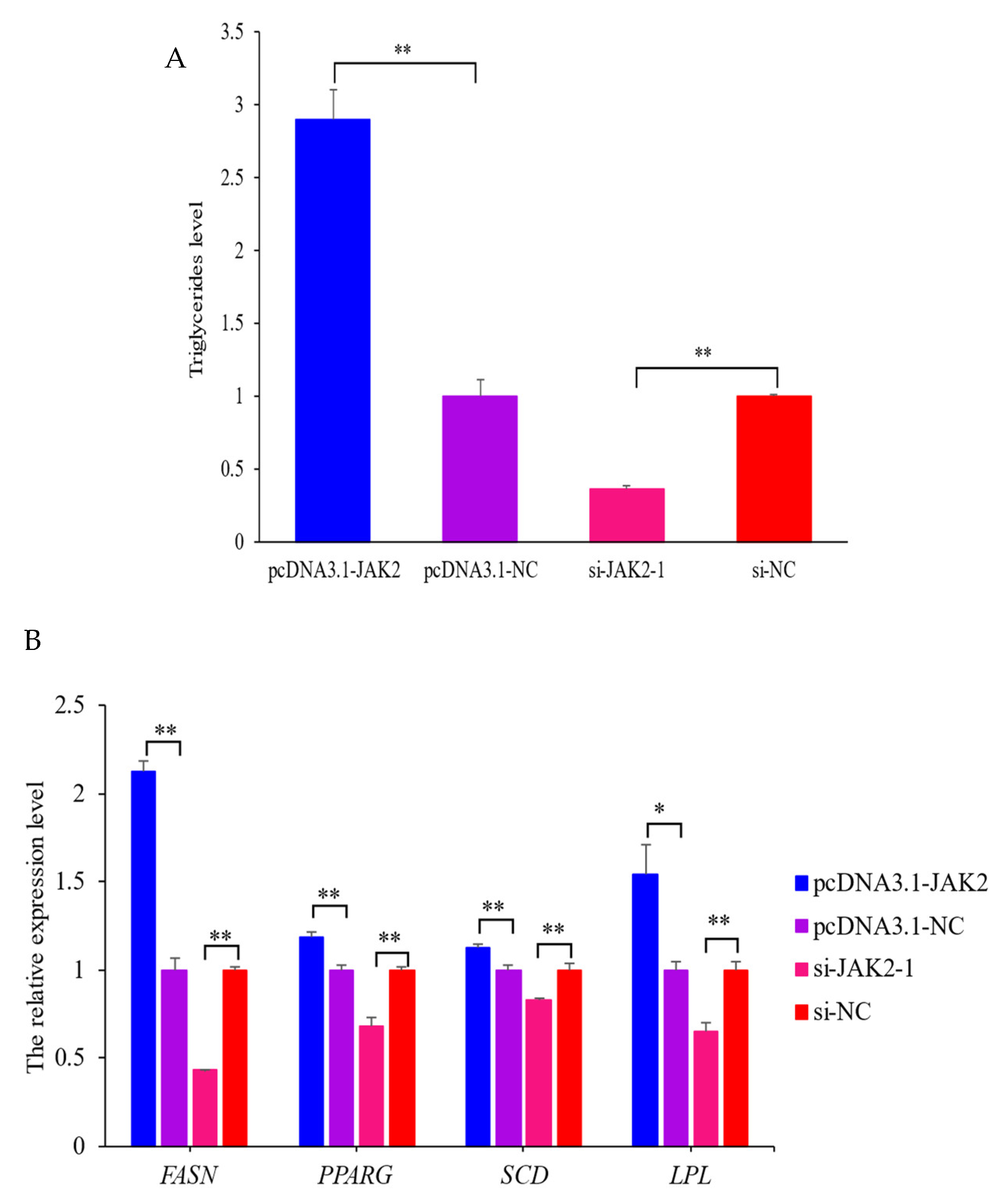 Ijms 25 04027 g008 Ijms 25 04027 g008