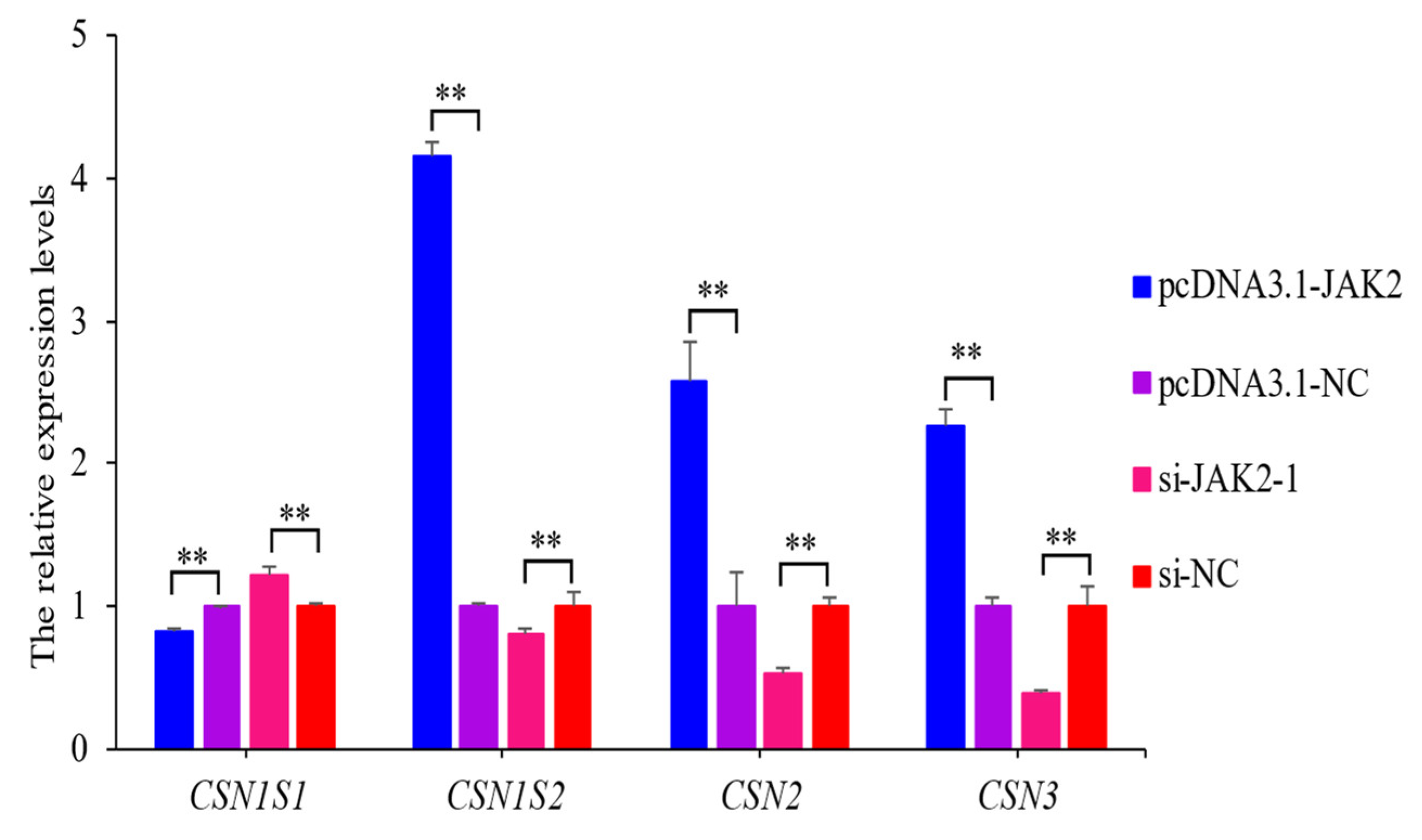 Ijms 25 04027 g009 Ijms 25 04027 g009