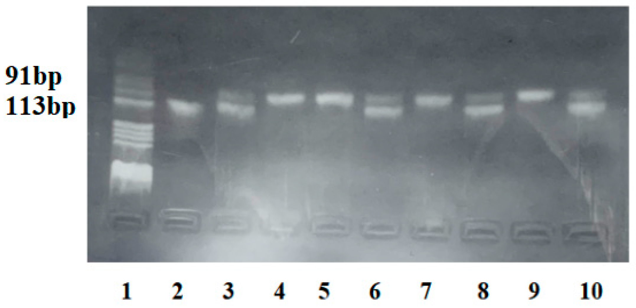 Ijms 25 04039 g001