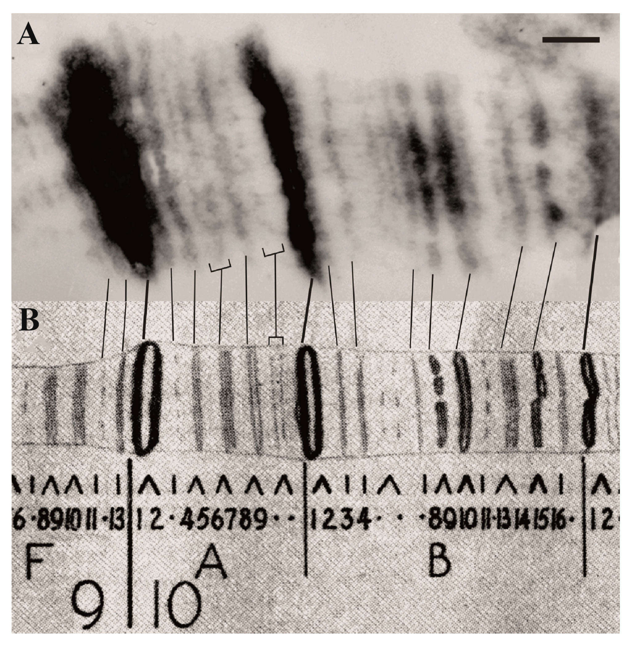 Ijms 25 04068 g001 Ijms 25 04068 g001