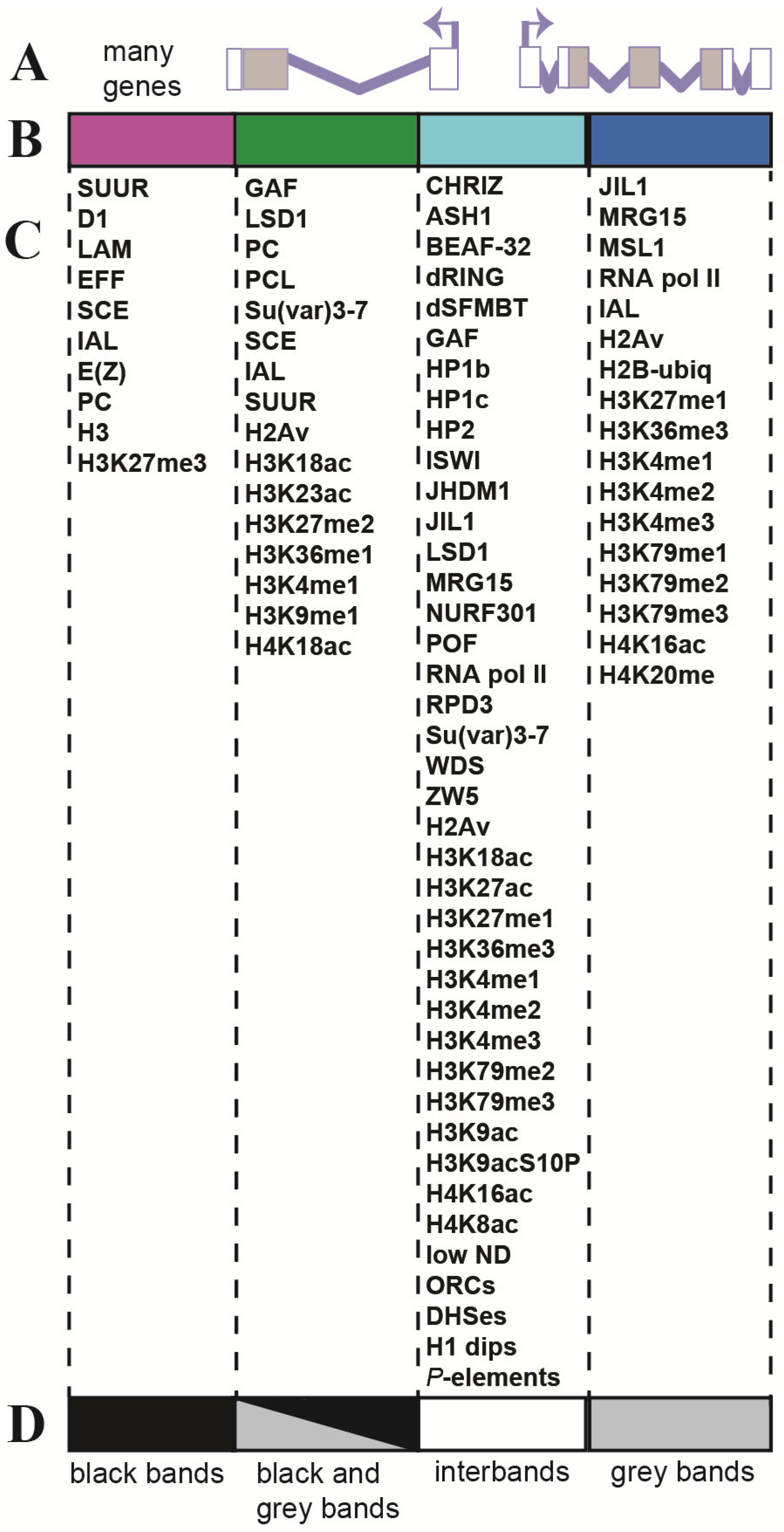 Ijms 25 04068 g005 Ijms 25 04068 g005