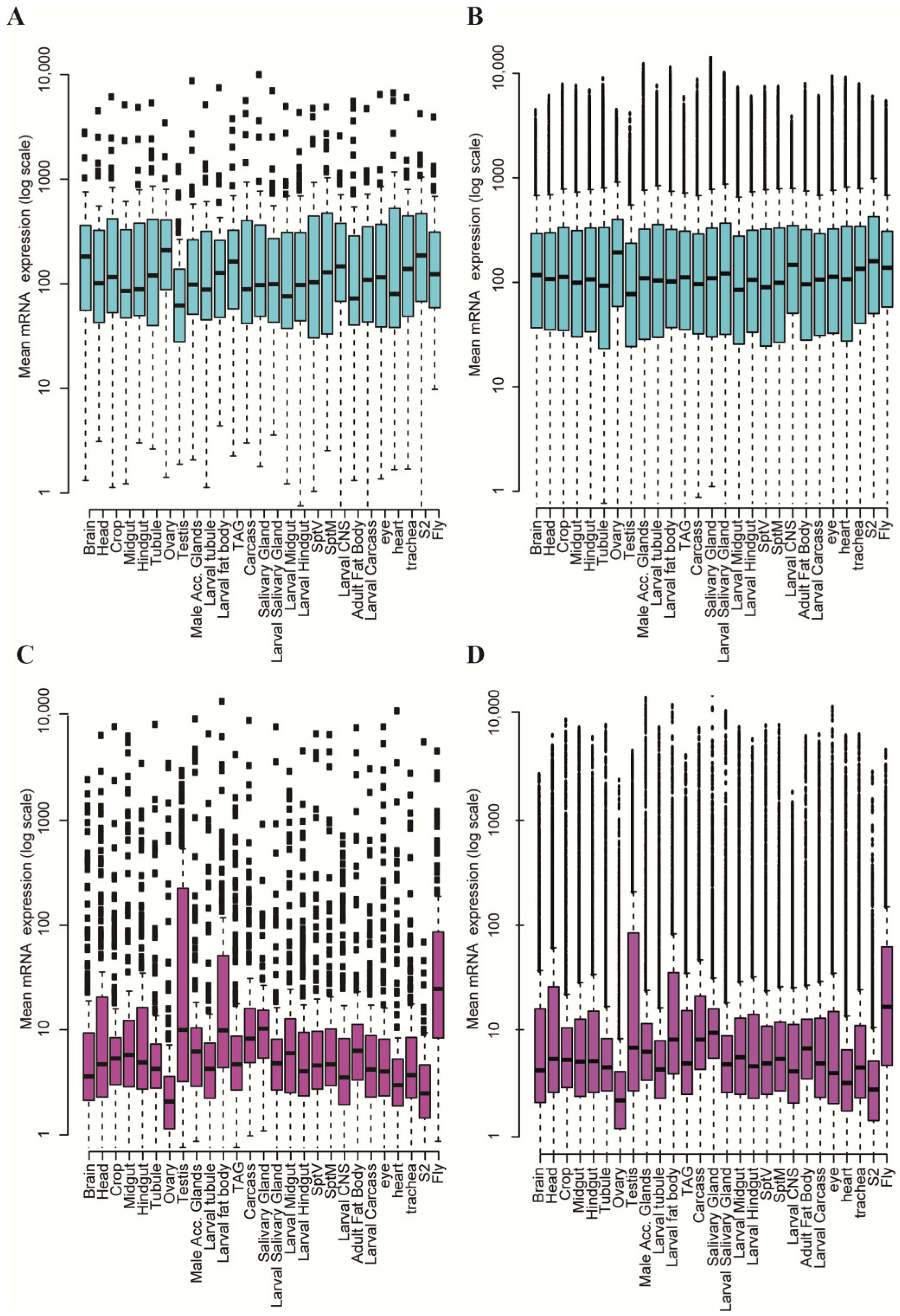 Ijms 25 04068 g008 Ijms 25 04068 g008