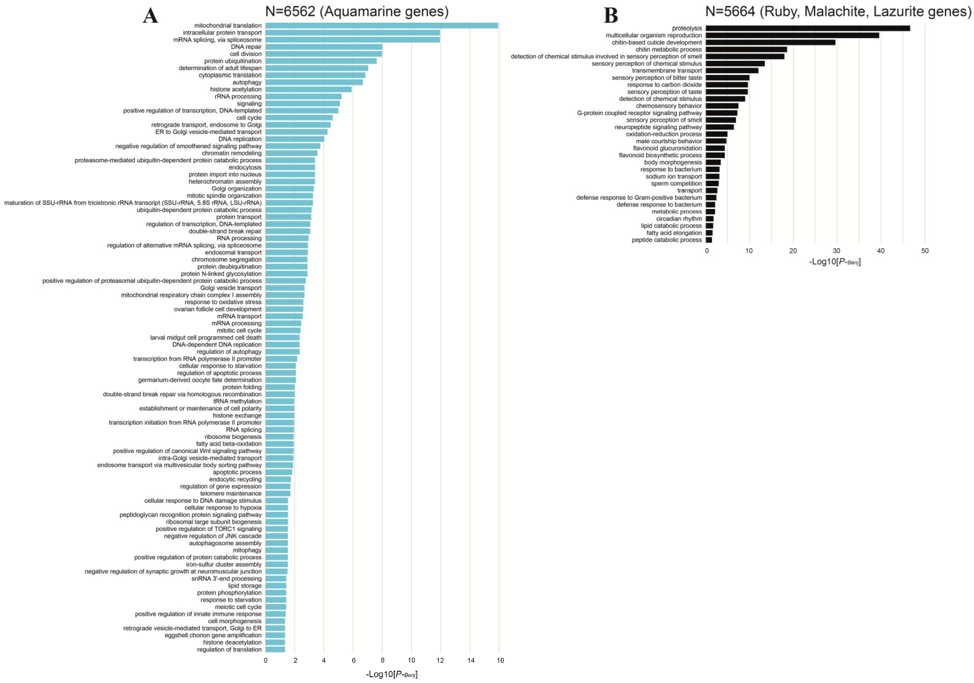 Ijms 25 04068 g009 Ijms 25 04068 g009