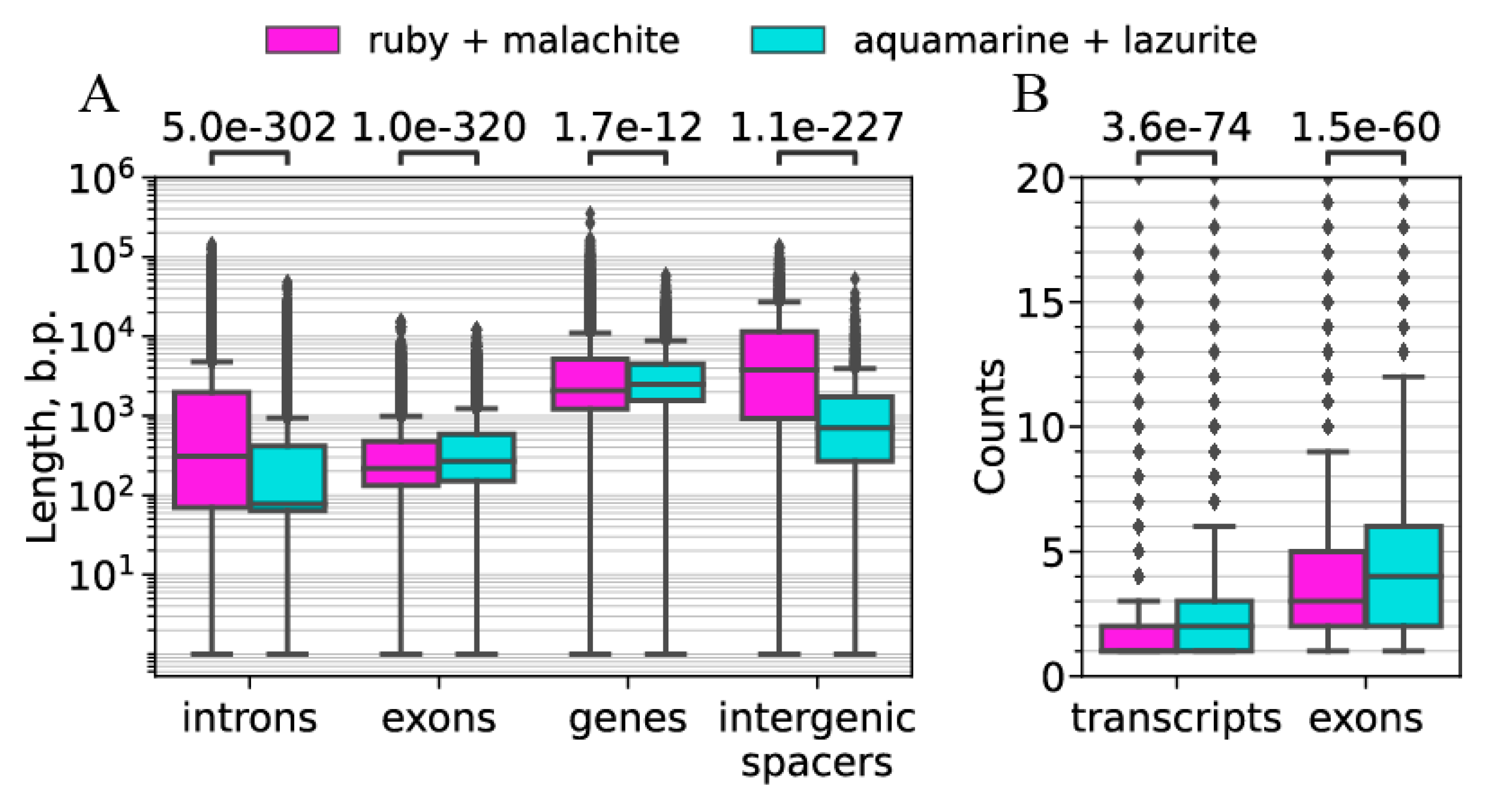 Ijms 25 04068 g011 Ijms 25 04068 g011