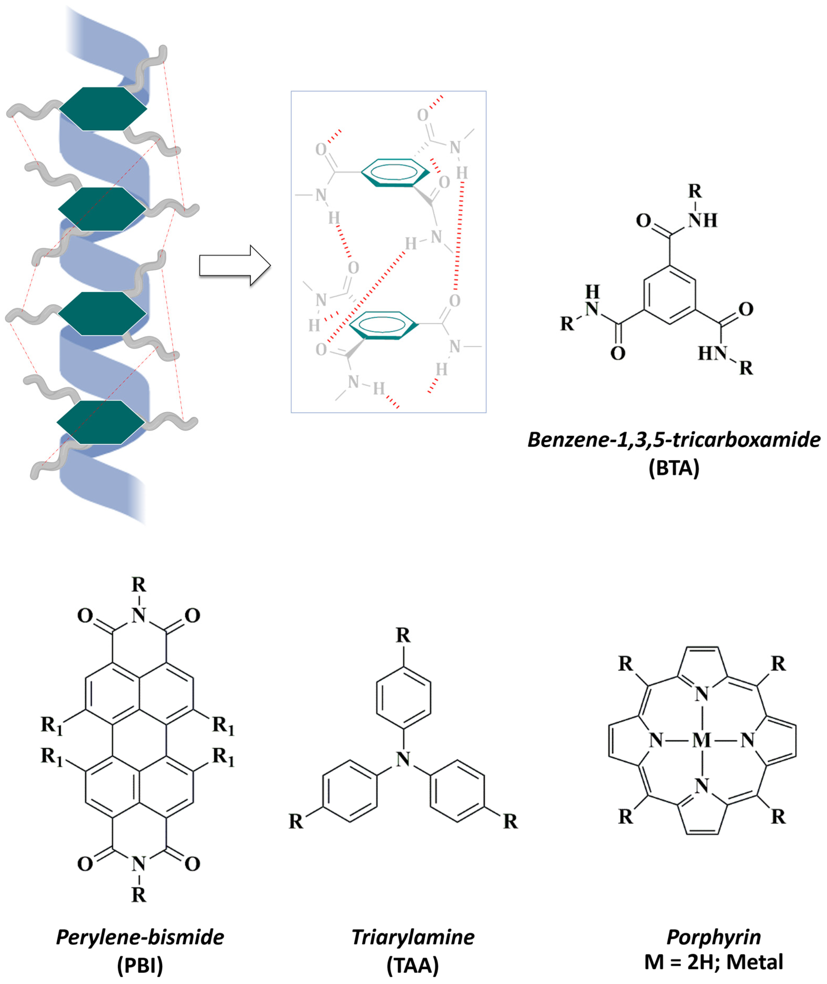 Ijms 25 04077 g003 Ijms 25 04077 g003