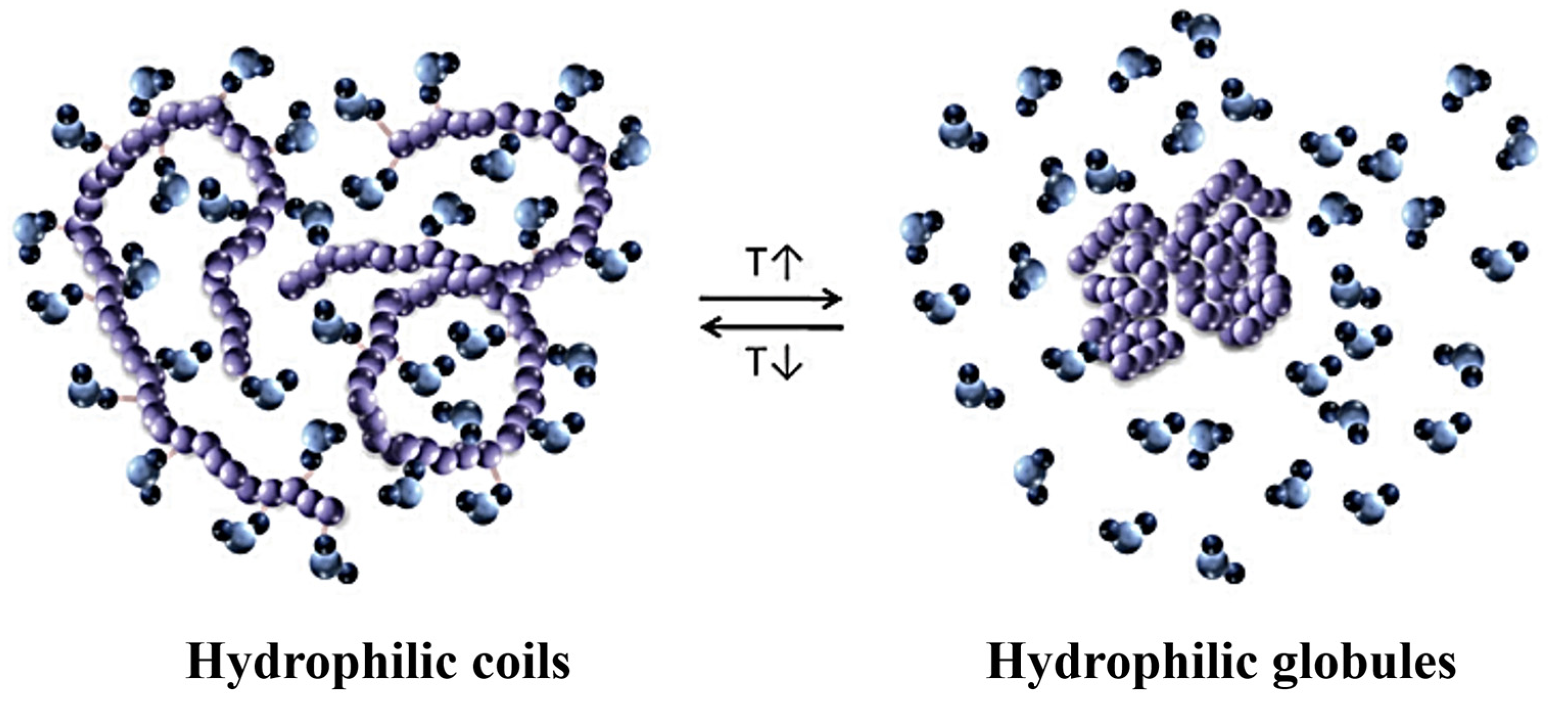 Ijms 25 04077 g004 Ijms 25 04077 g004