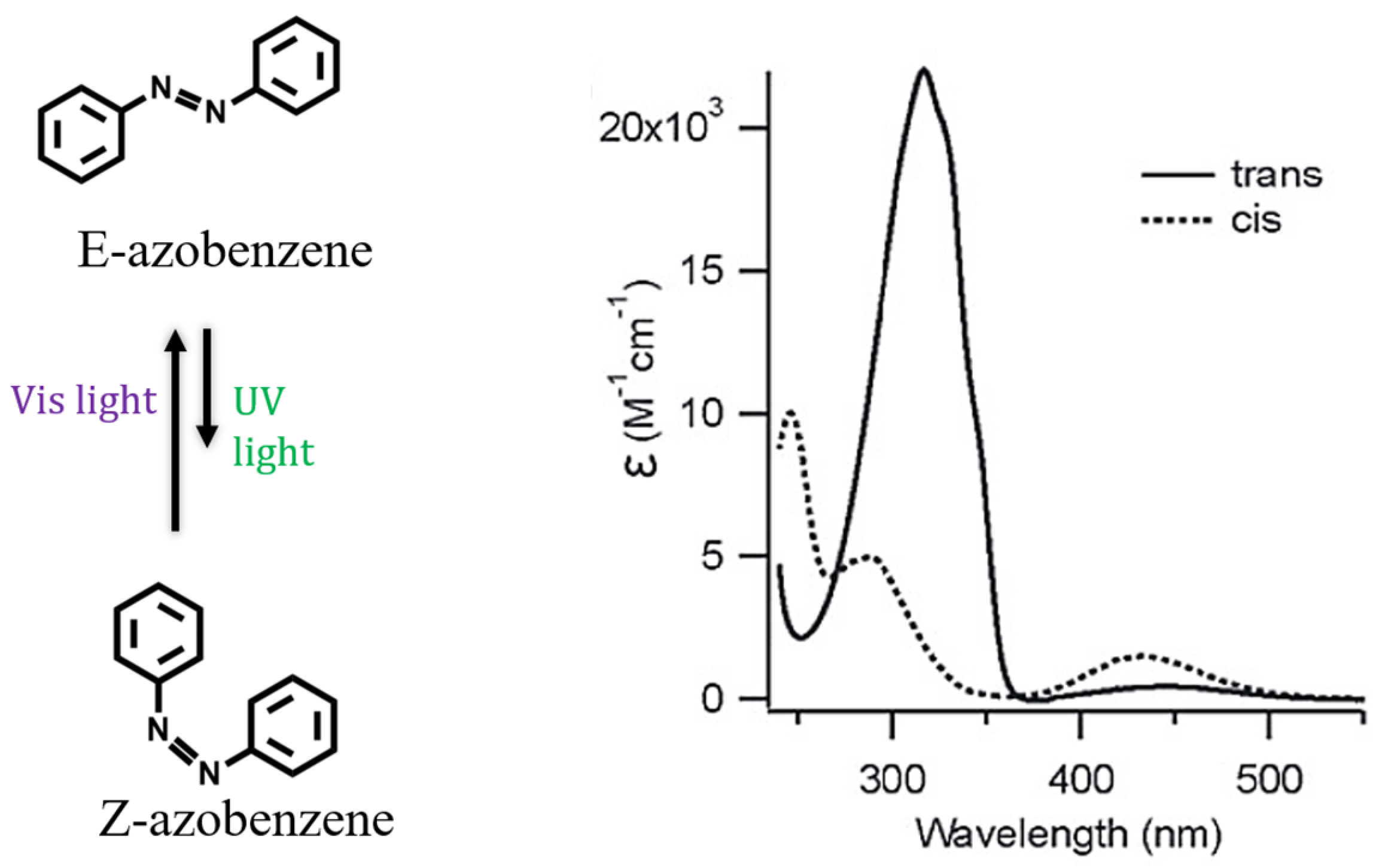 Ijms 25 04077 g005 Ijms 25 04077 g005