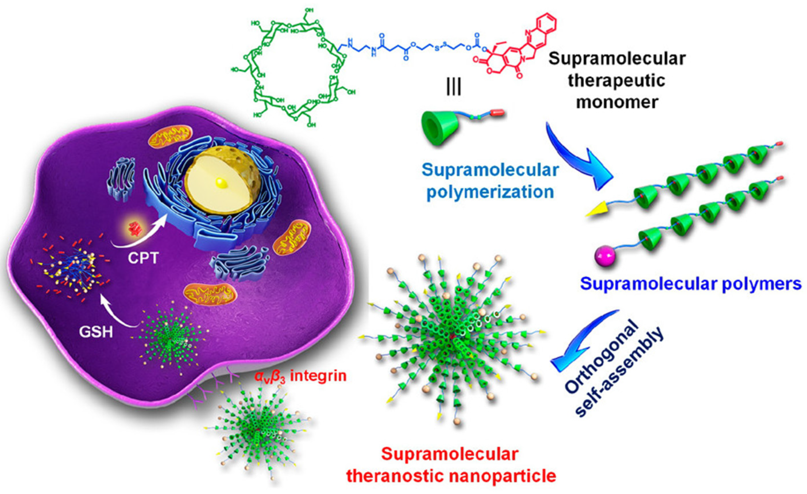 Ijms 25 04077 g006 Ijms 25 04077 g006