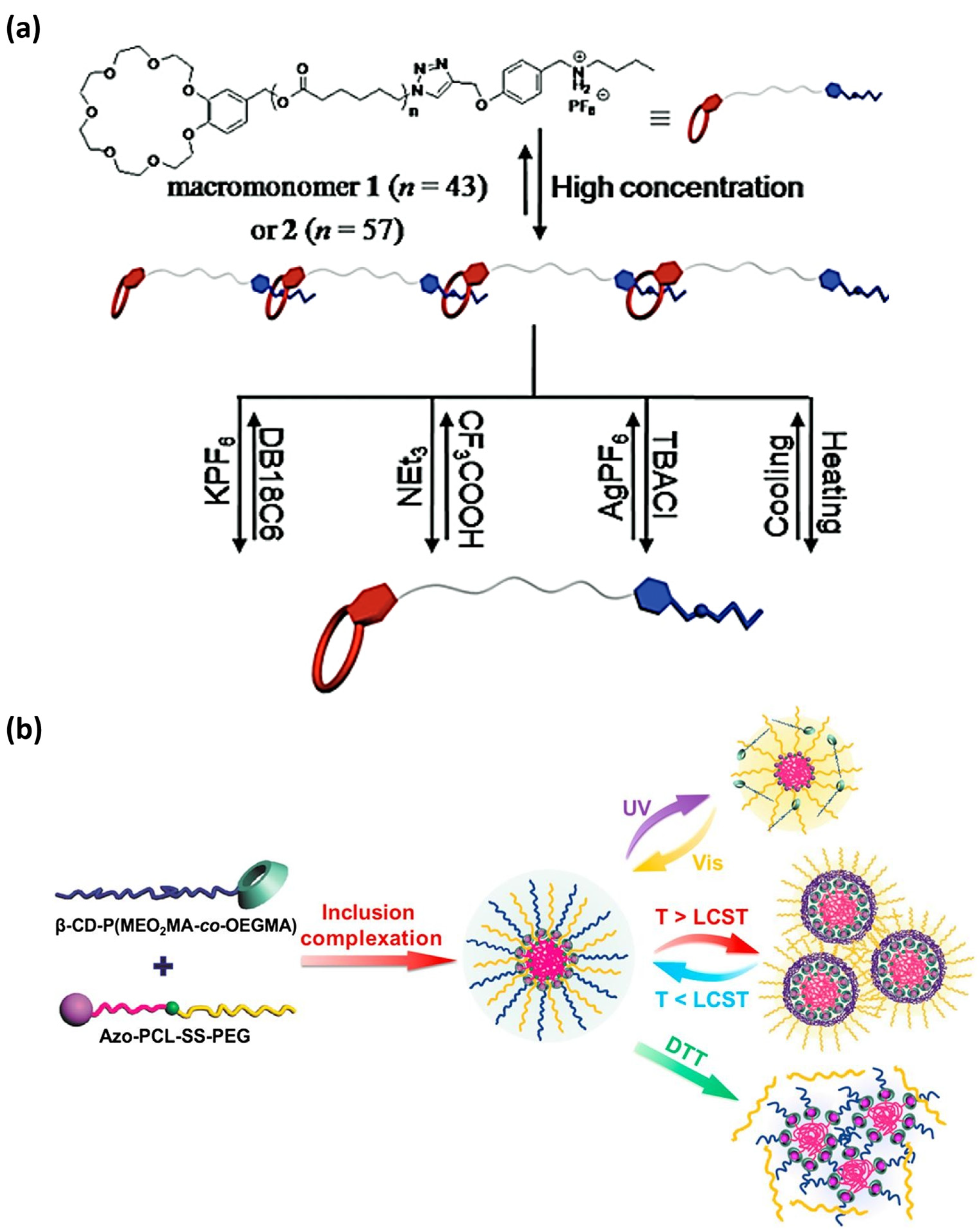 Ijms 25 04077 g007 Ijms 25 04077 g007