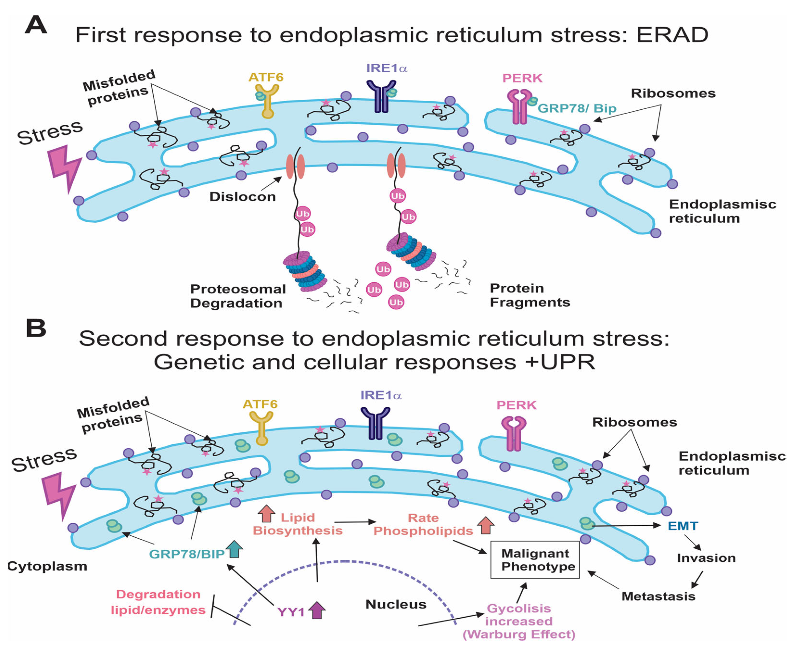 Ijms 25 04078 g001 Ijms 25 04078 g001