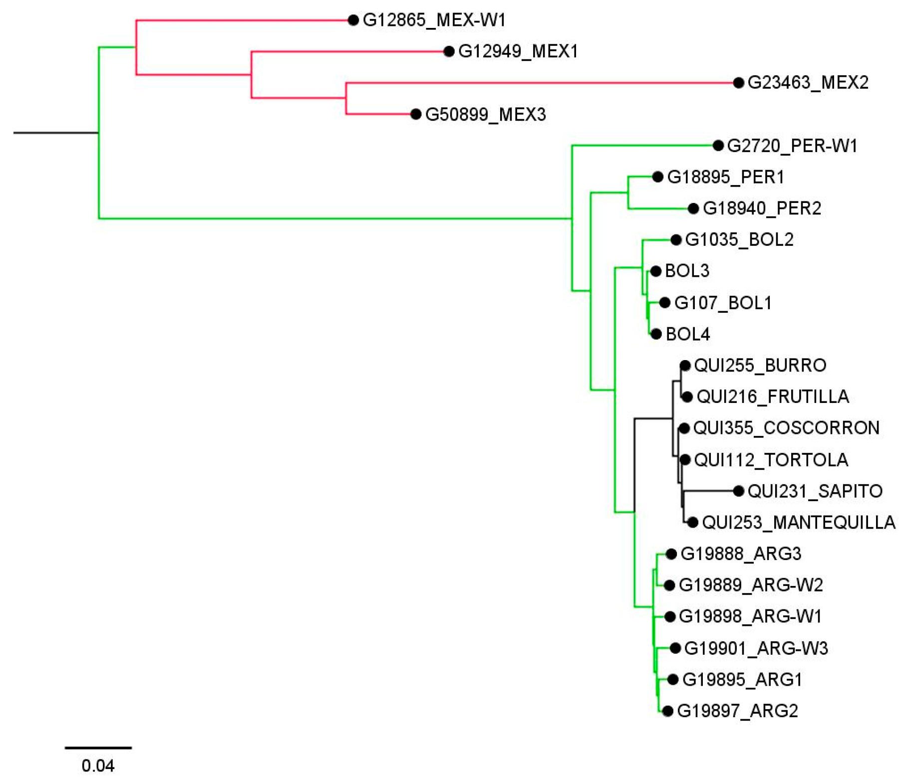 Ijms 25 04081 g003 Ijms 25 04081 g003