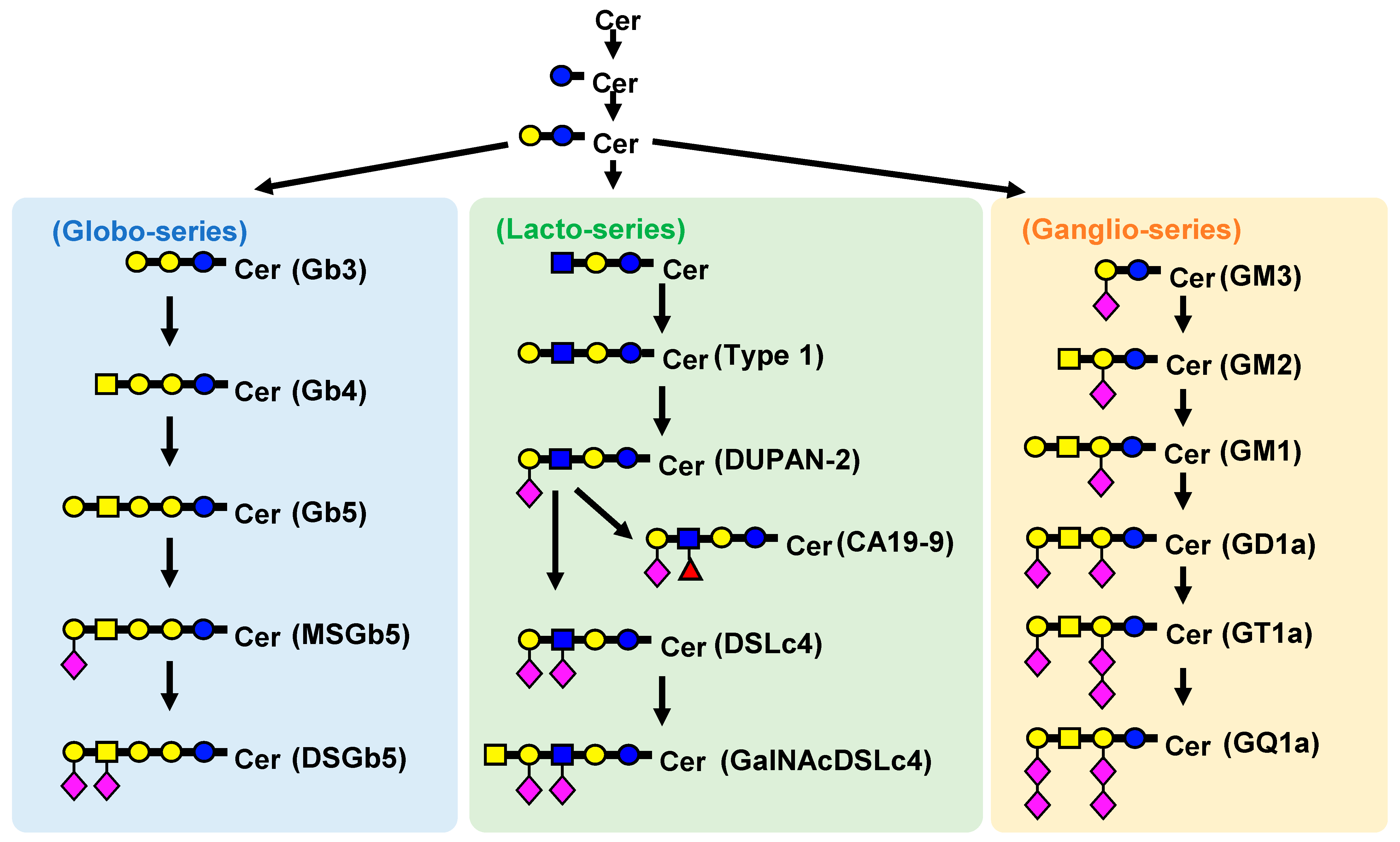 Ijms 25 04098 g003 Ijms 25 04098 g003
