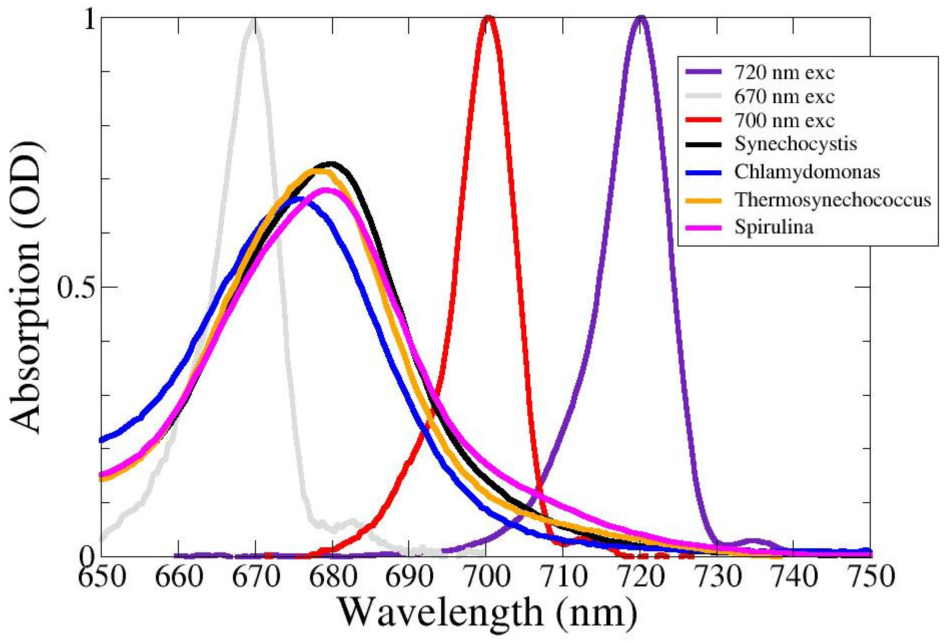 Ijms 25 04125 g002 Ijms 25 04125 g002
