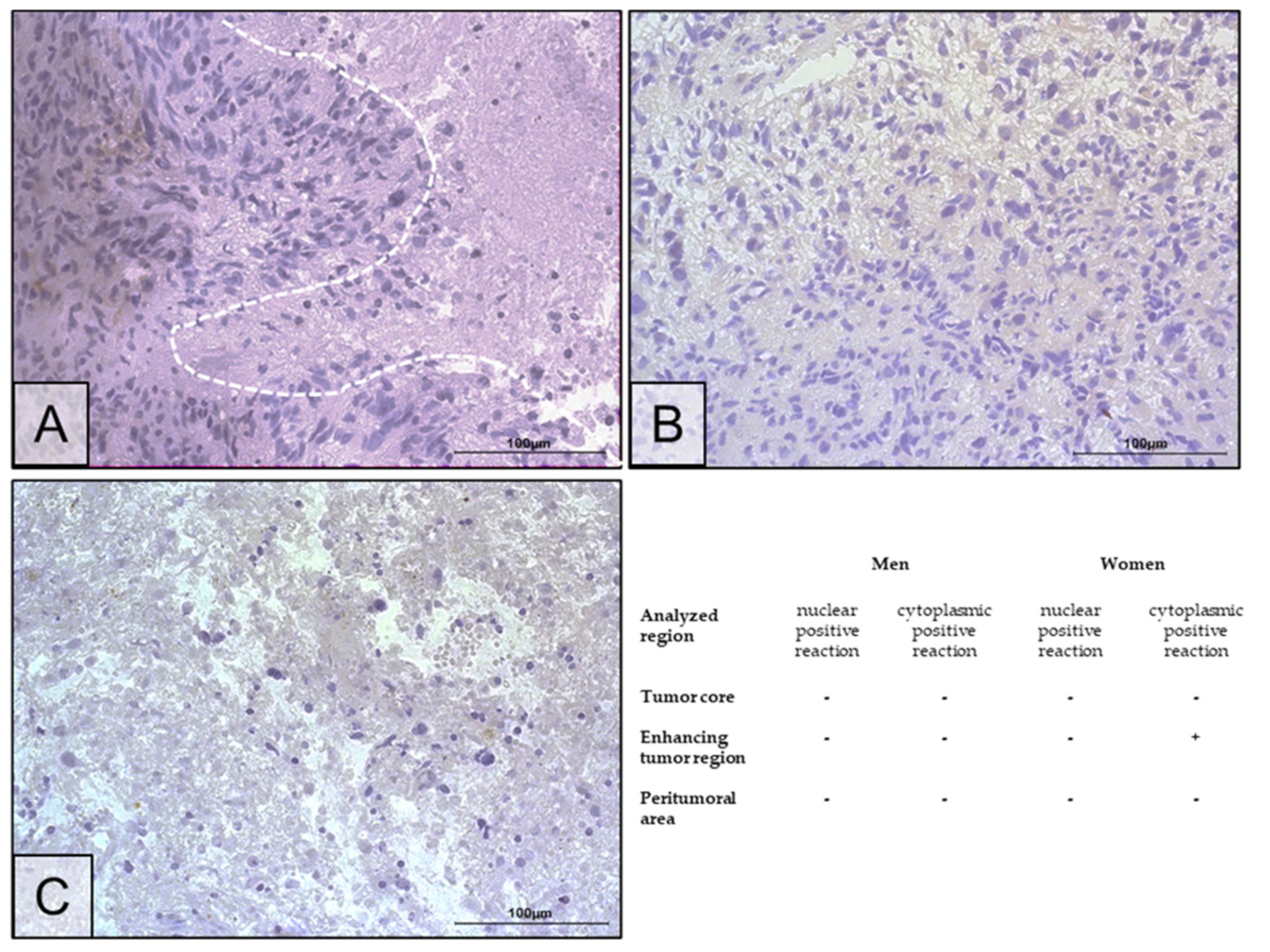 Ijms 25 04130 g004 Ijms 25 04130 g004