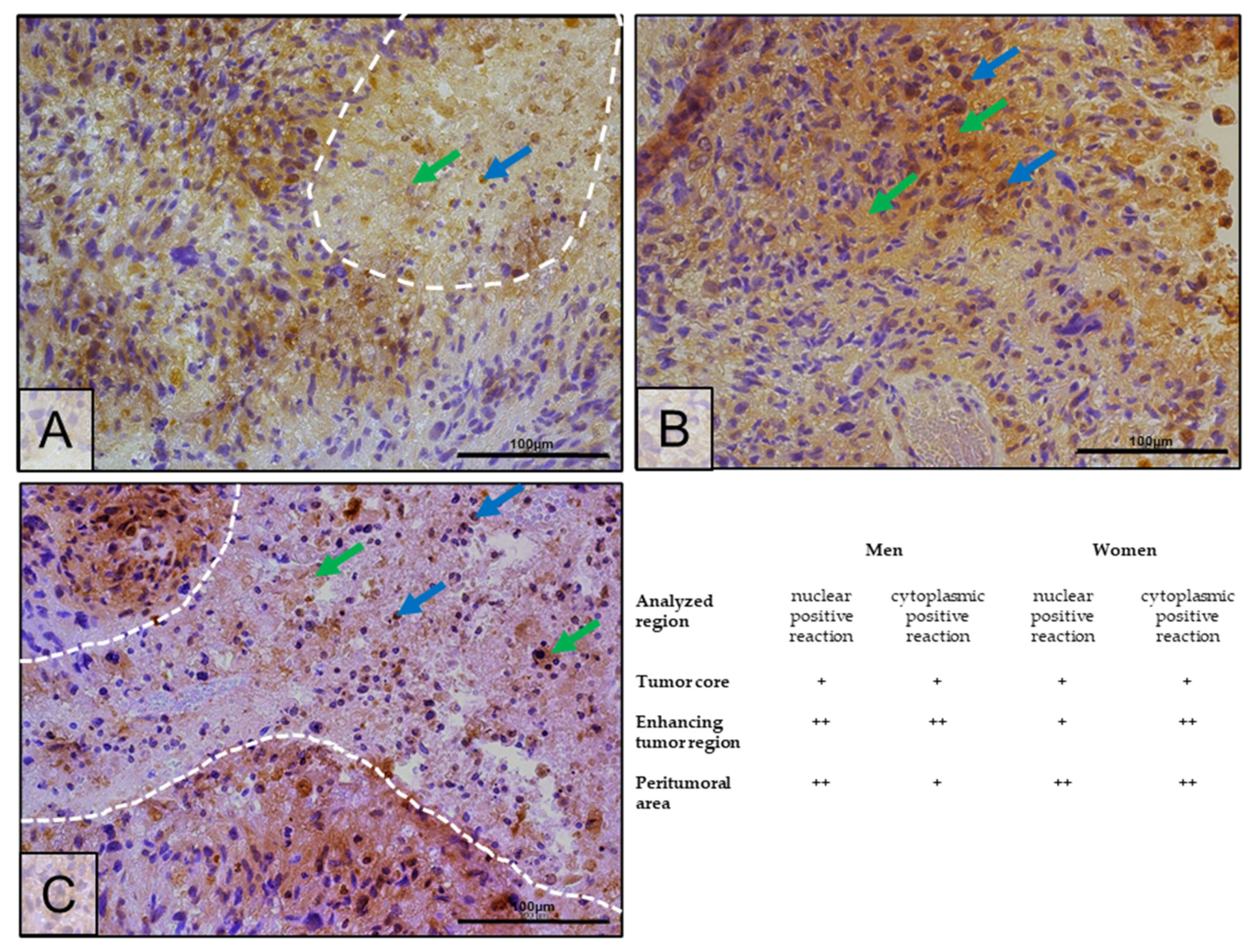 Ijms 25 04130 g008 Ijms 25 04130 g008