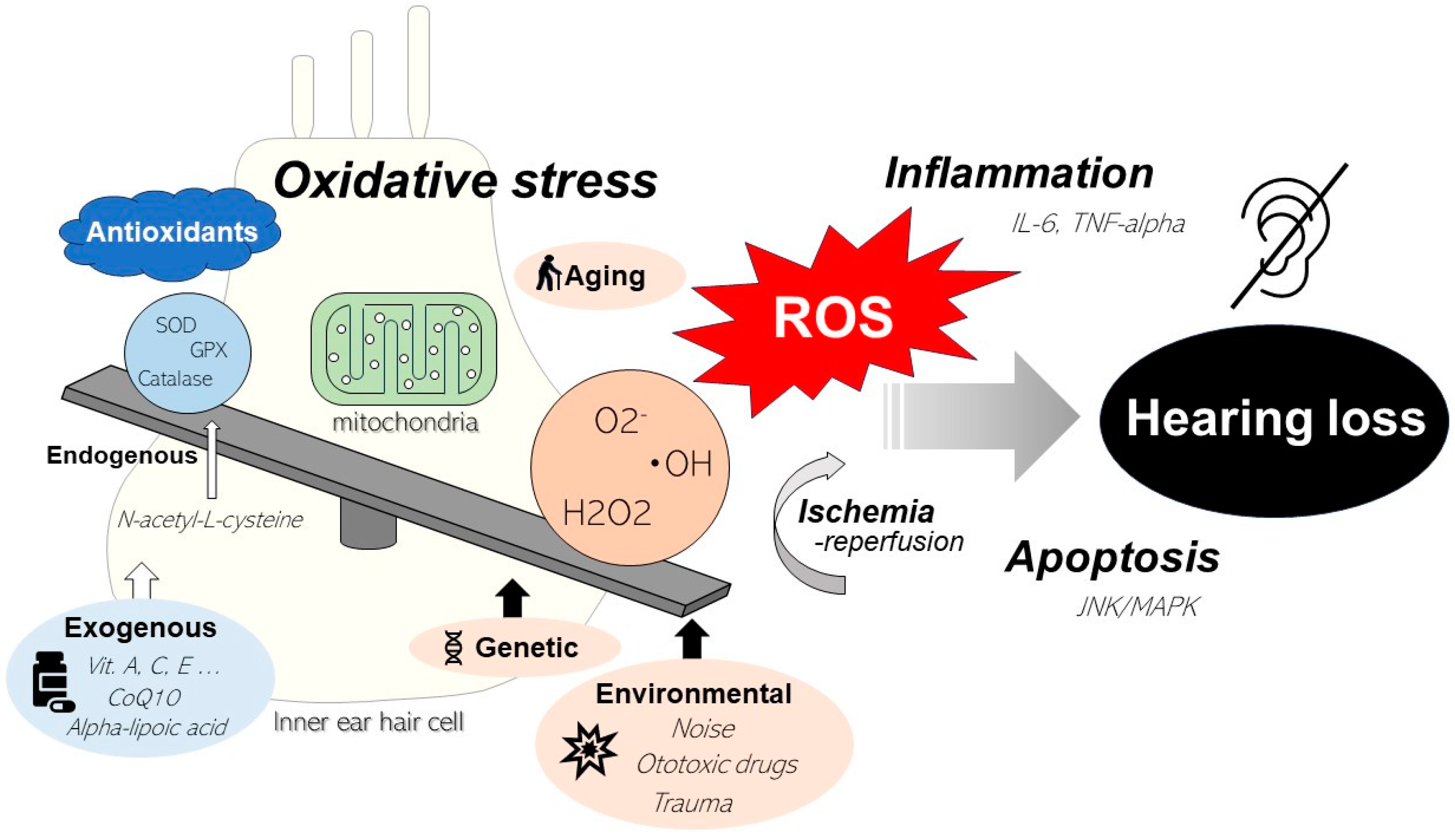 Ijms 25 04146 g001 Ijms 25 04146 g001