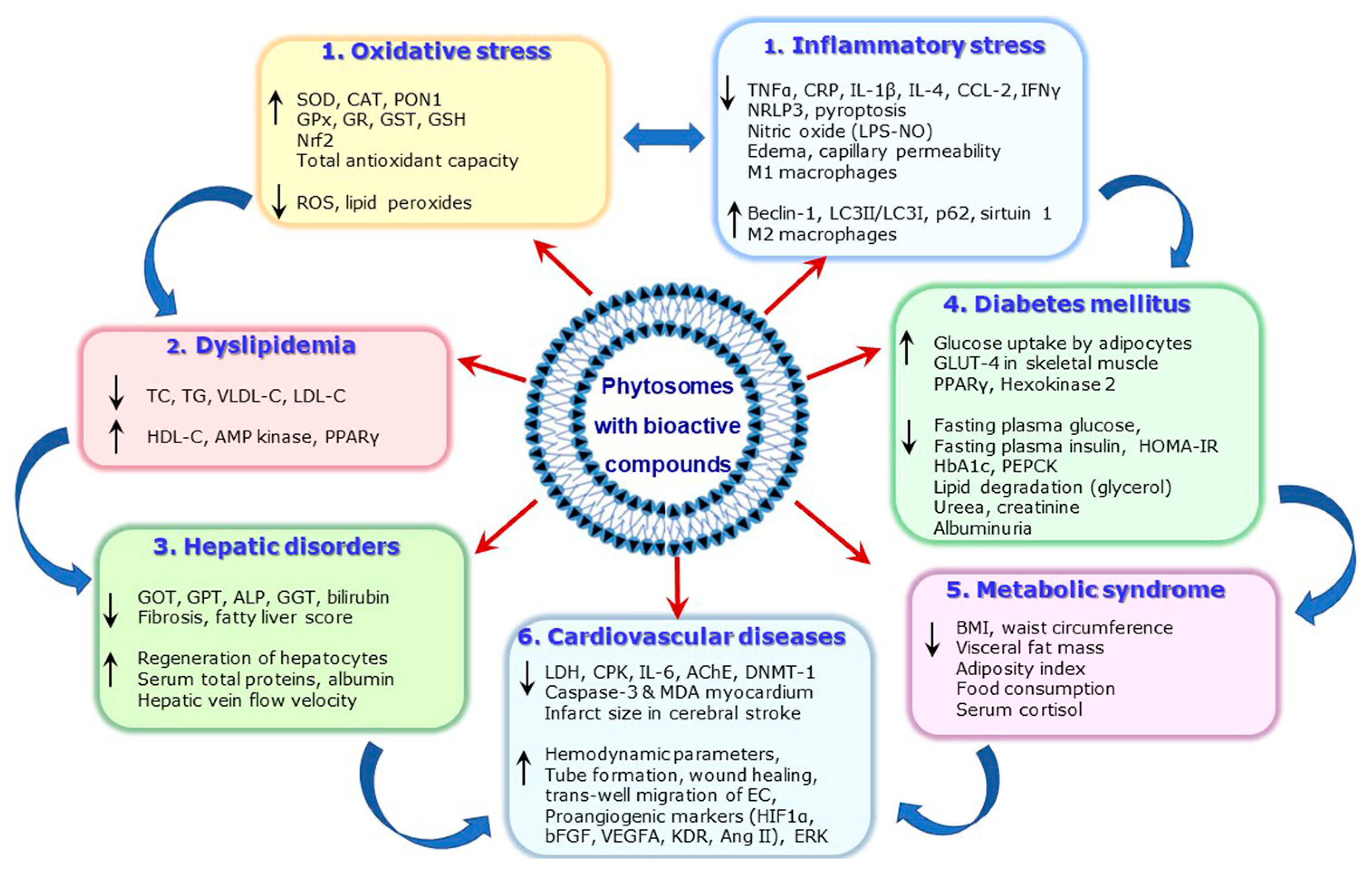 Ijms 25 04162 g004 Ijms 25 04162 g004