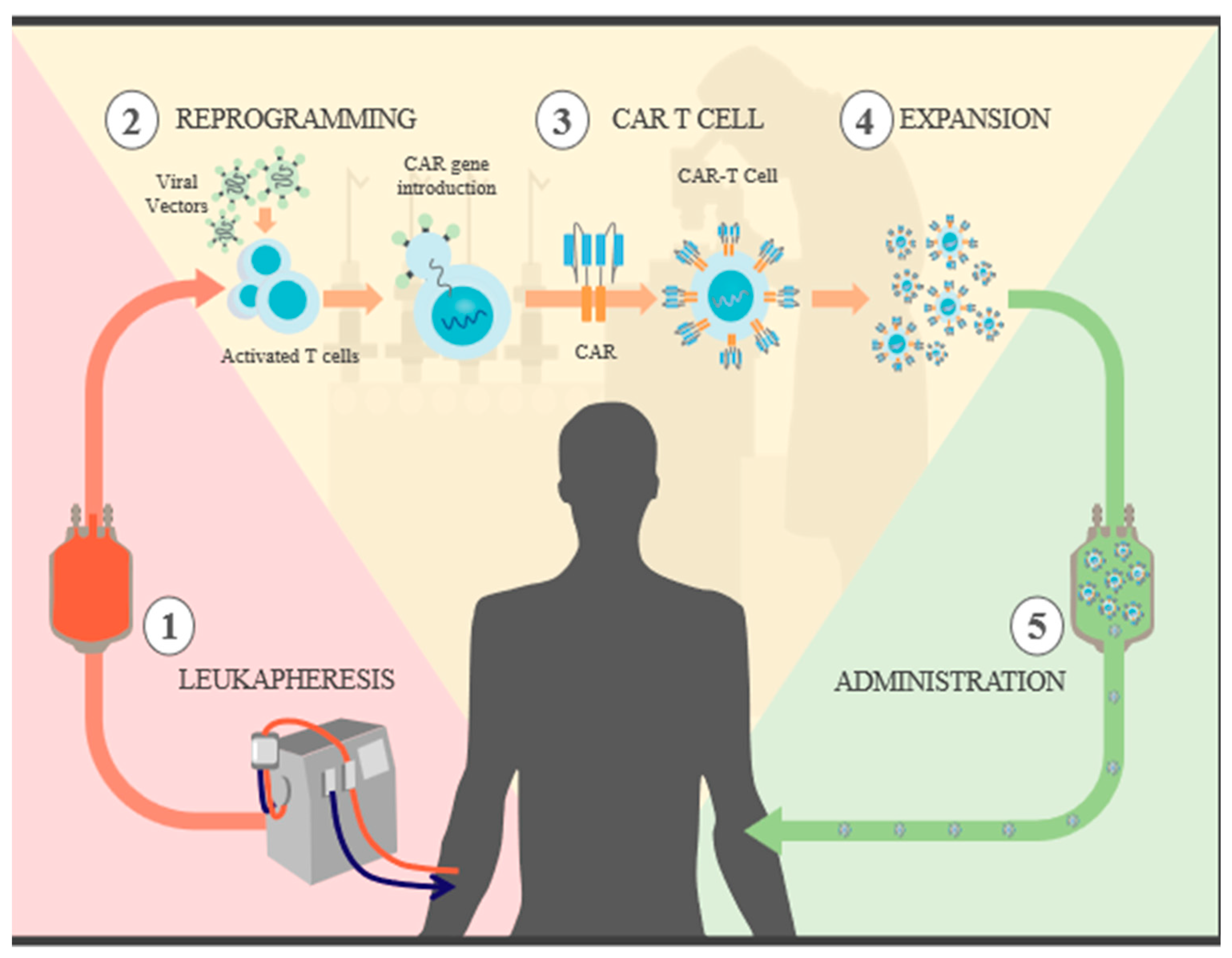 Ijms 25 04170 g001 Ijms 25 04170 g001